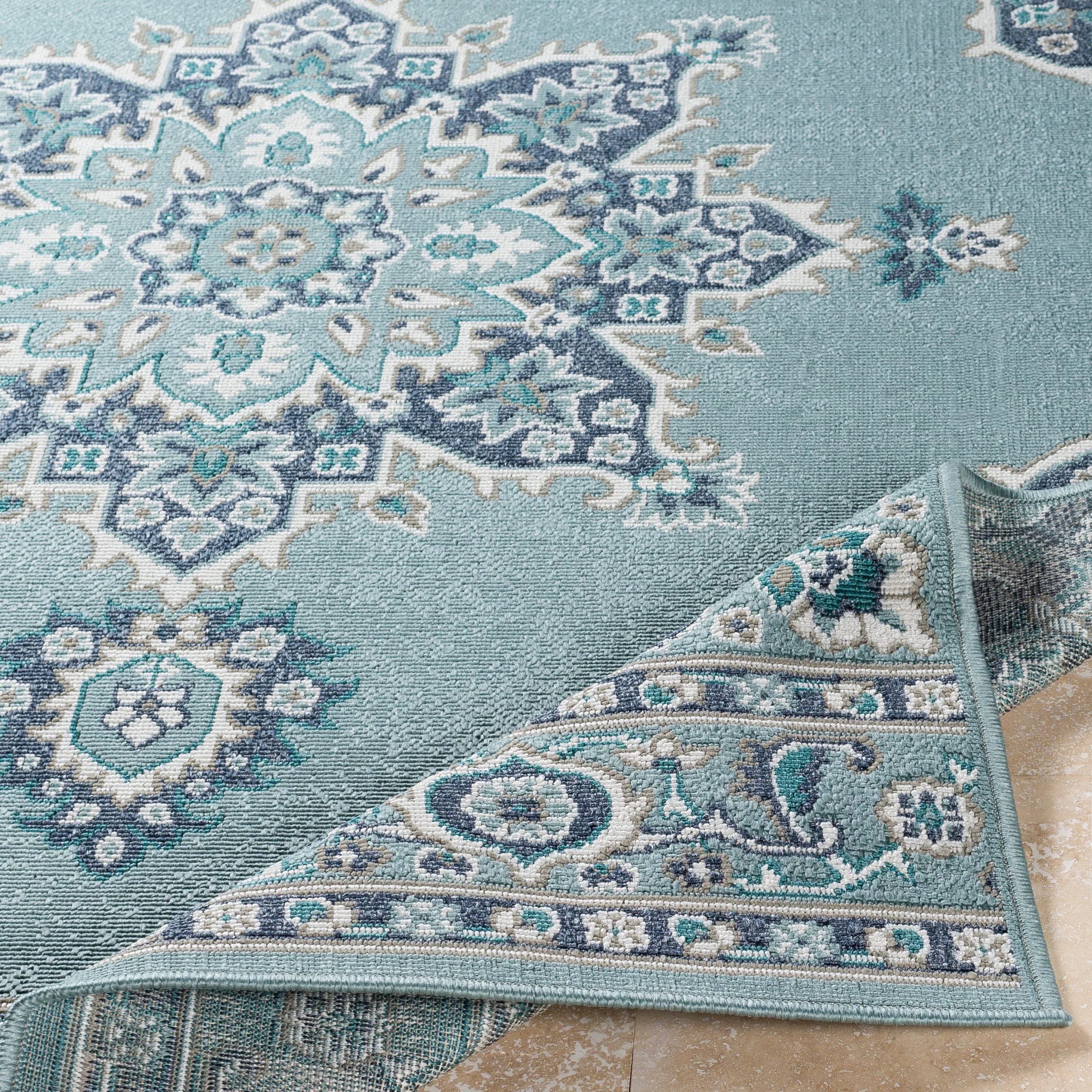 Alfresco ALF-9669 Rug - Image 19