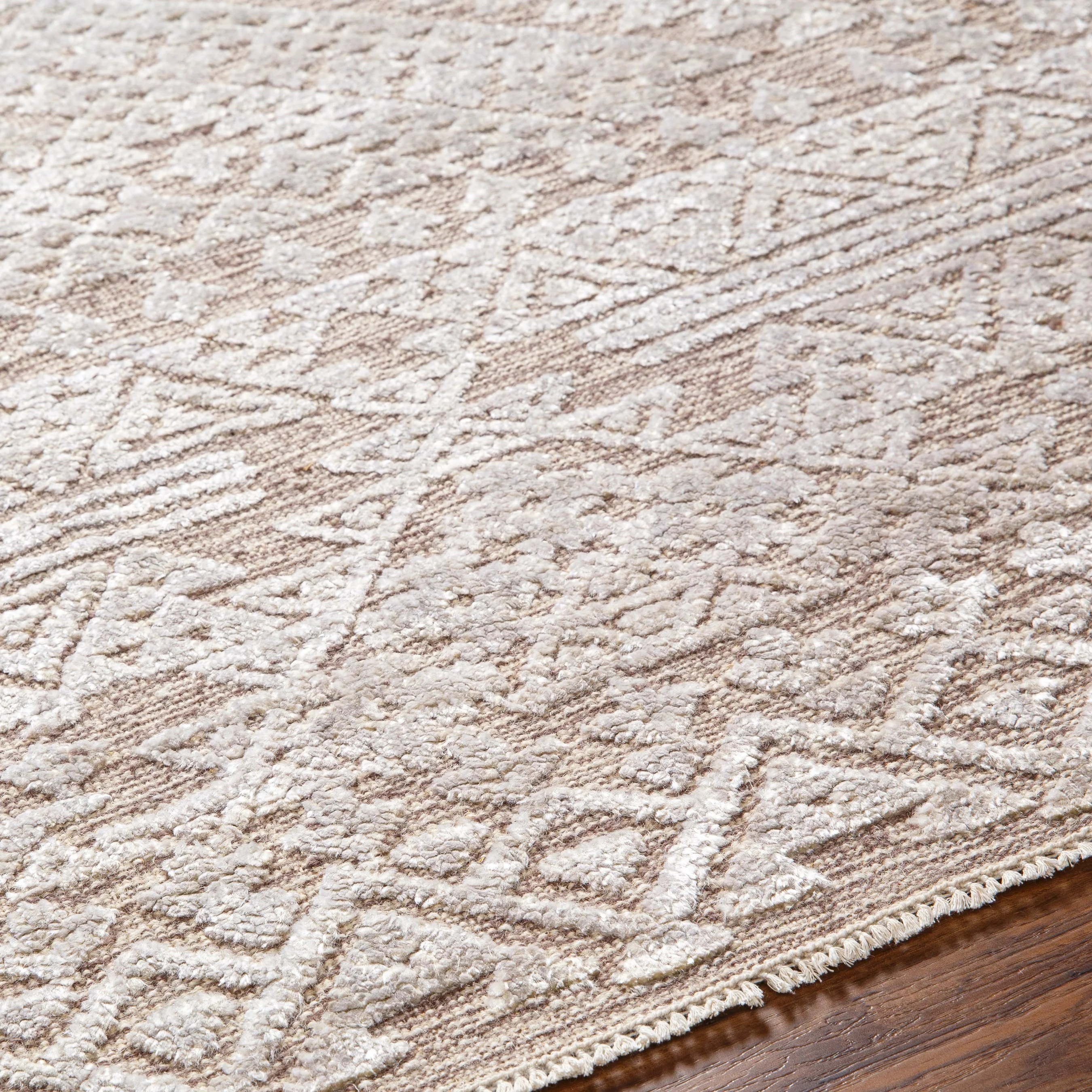 Amina AMA-2304 Rug - Image 5