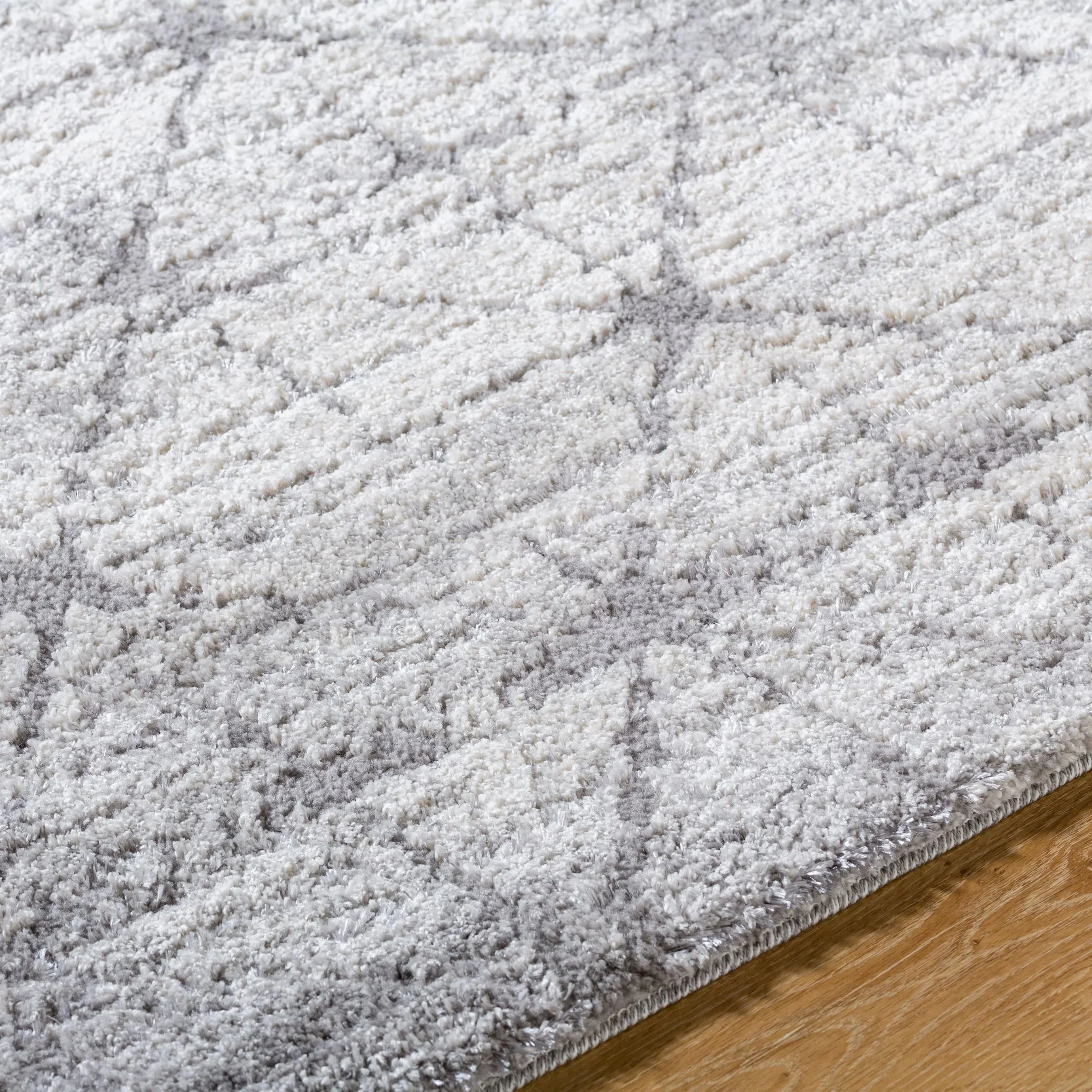 Andorra Plus ARP-2306 Rug - Image 11