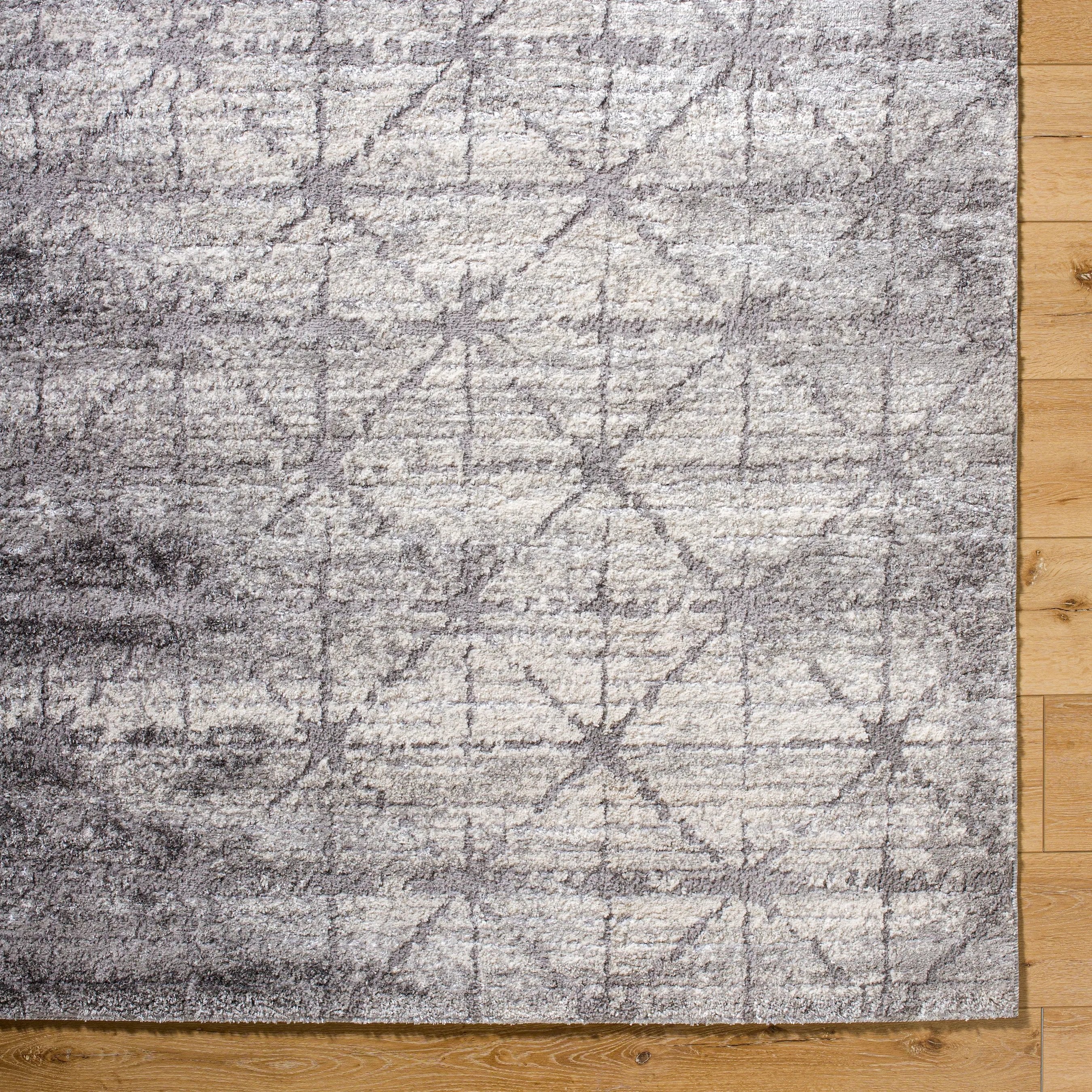 Andorra Plus ARP-2306 Rug - Image 12