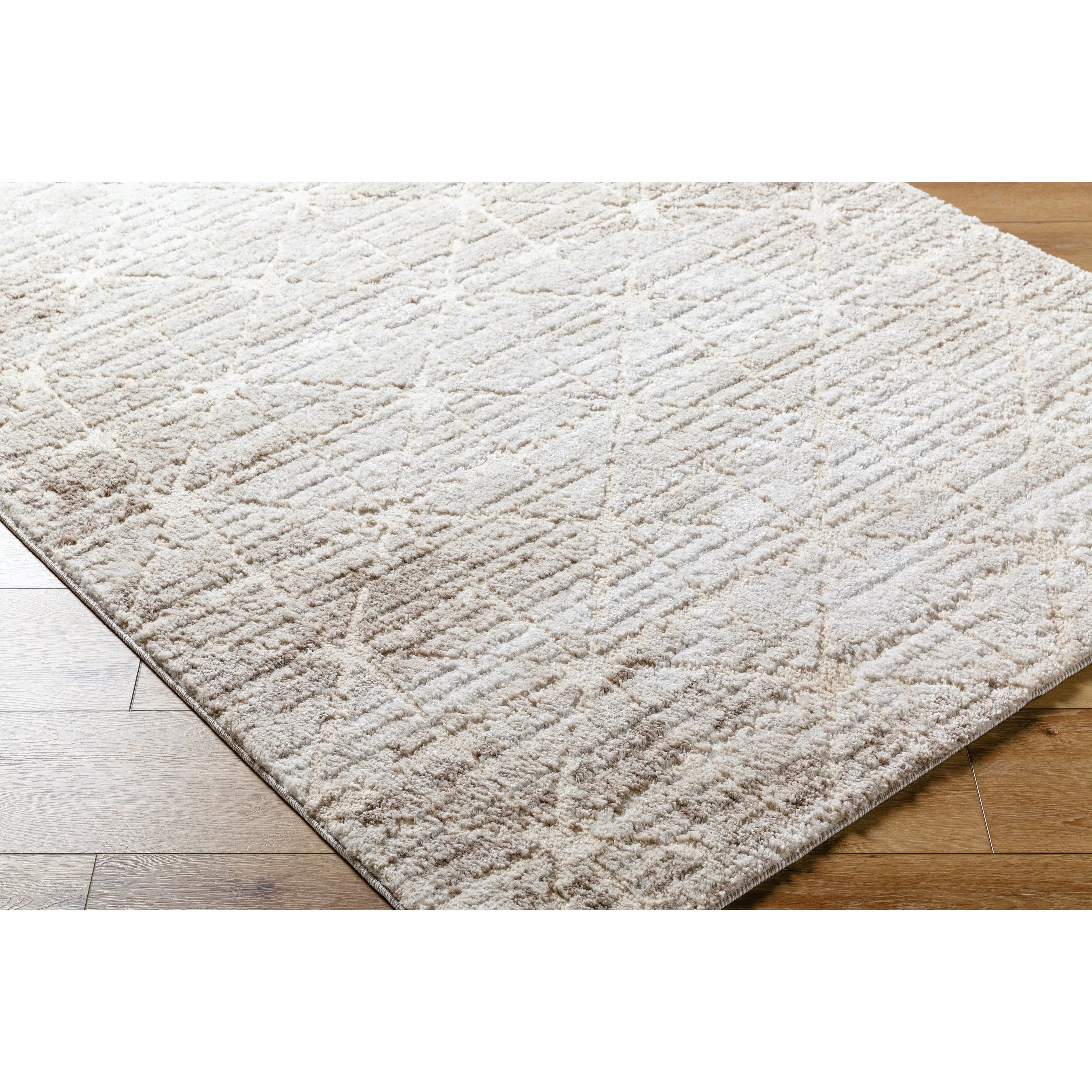 Andorra Plus ARP-2306 Rug - Image 3