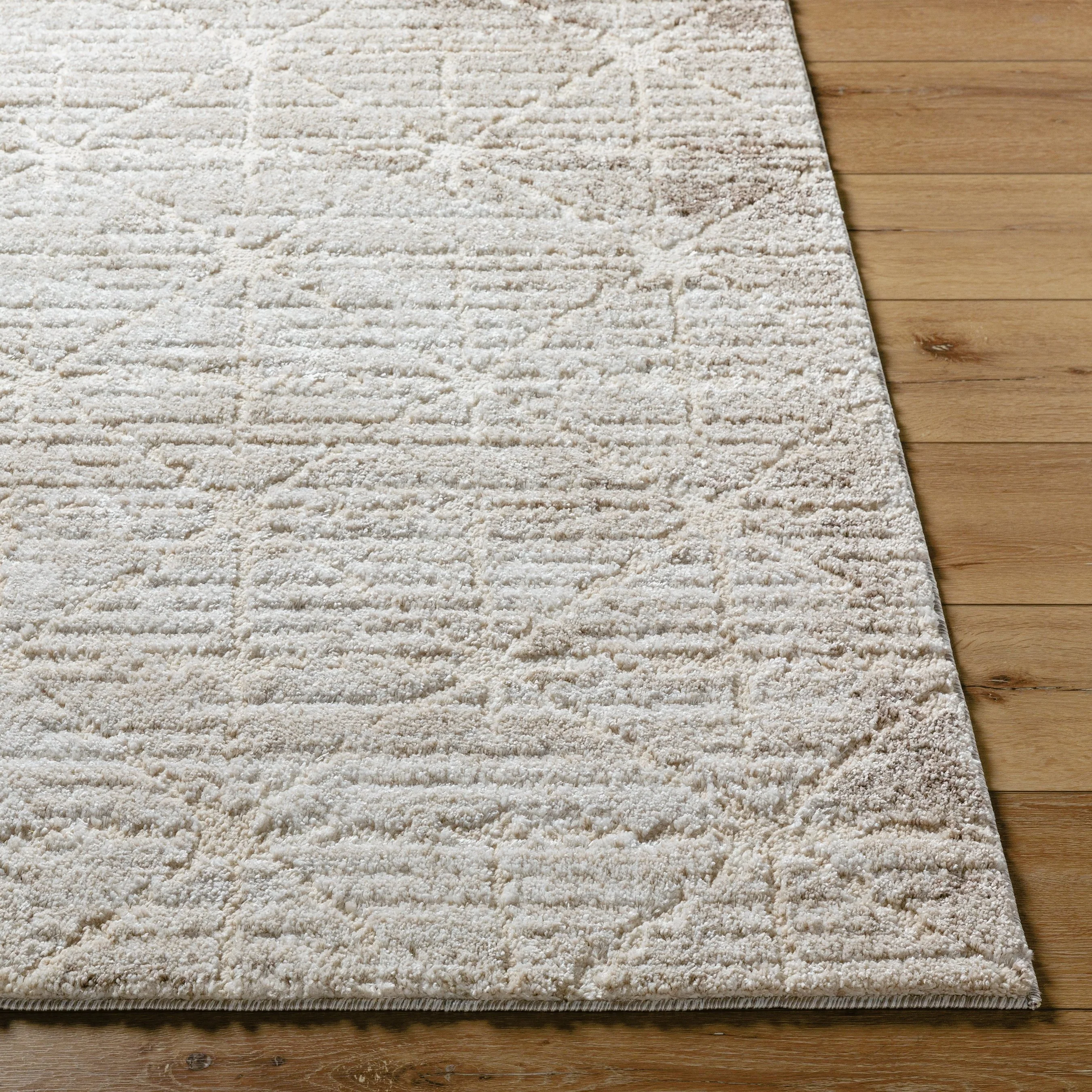 Andorra Plus ARP-2306 Rug - Image 4