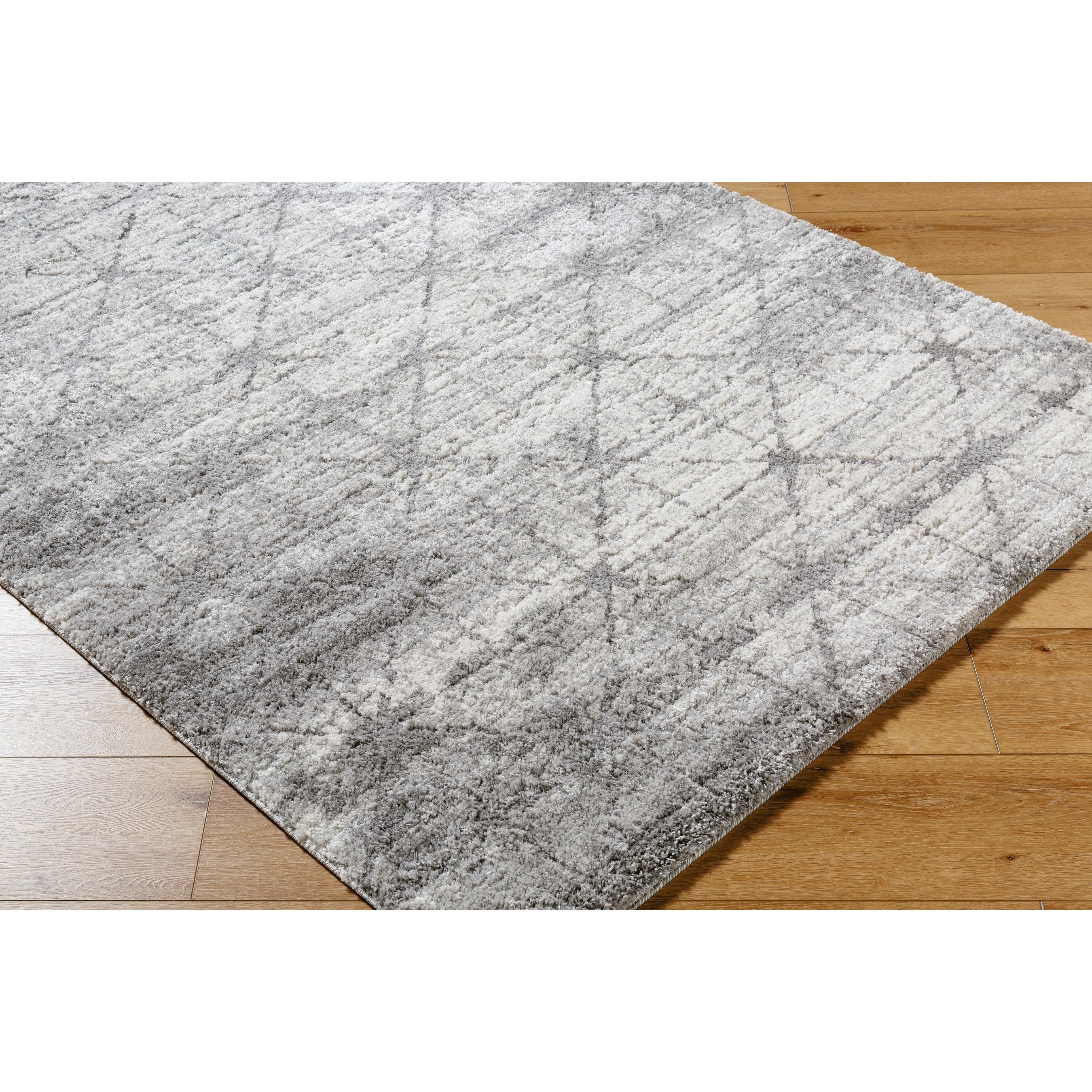 Andorra Plus ARP-2306 Rug - Image 5