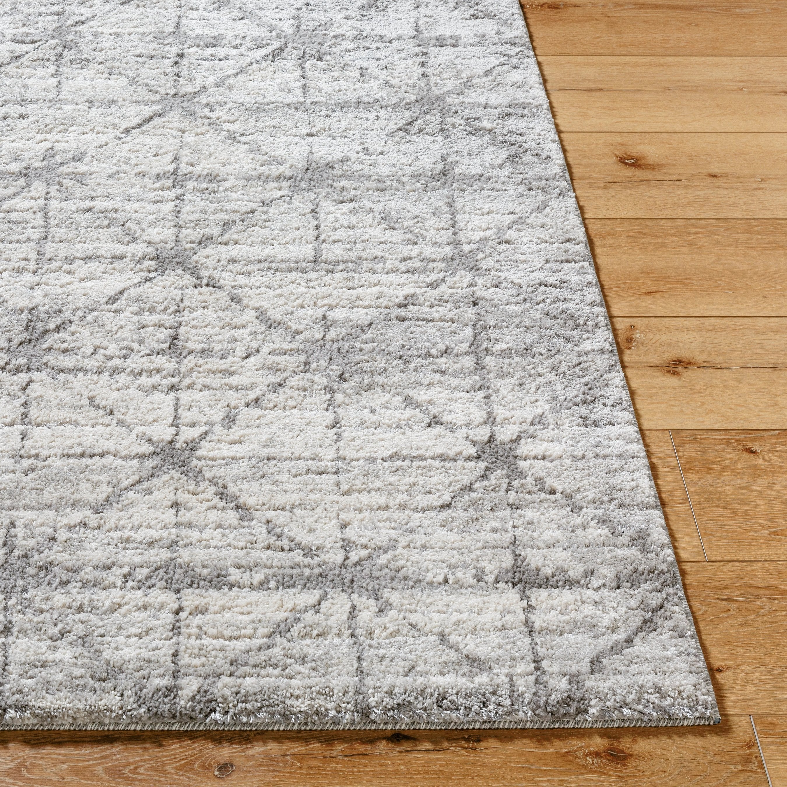 Andorra Plus ARP-2306 Rug - Image 6