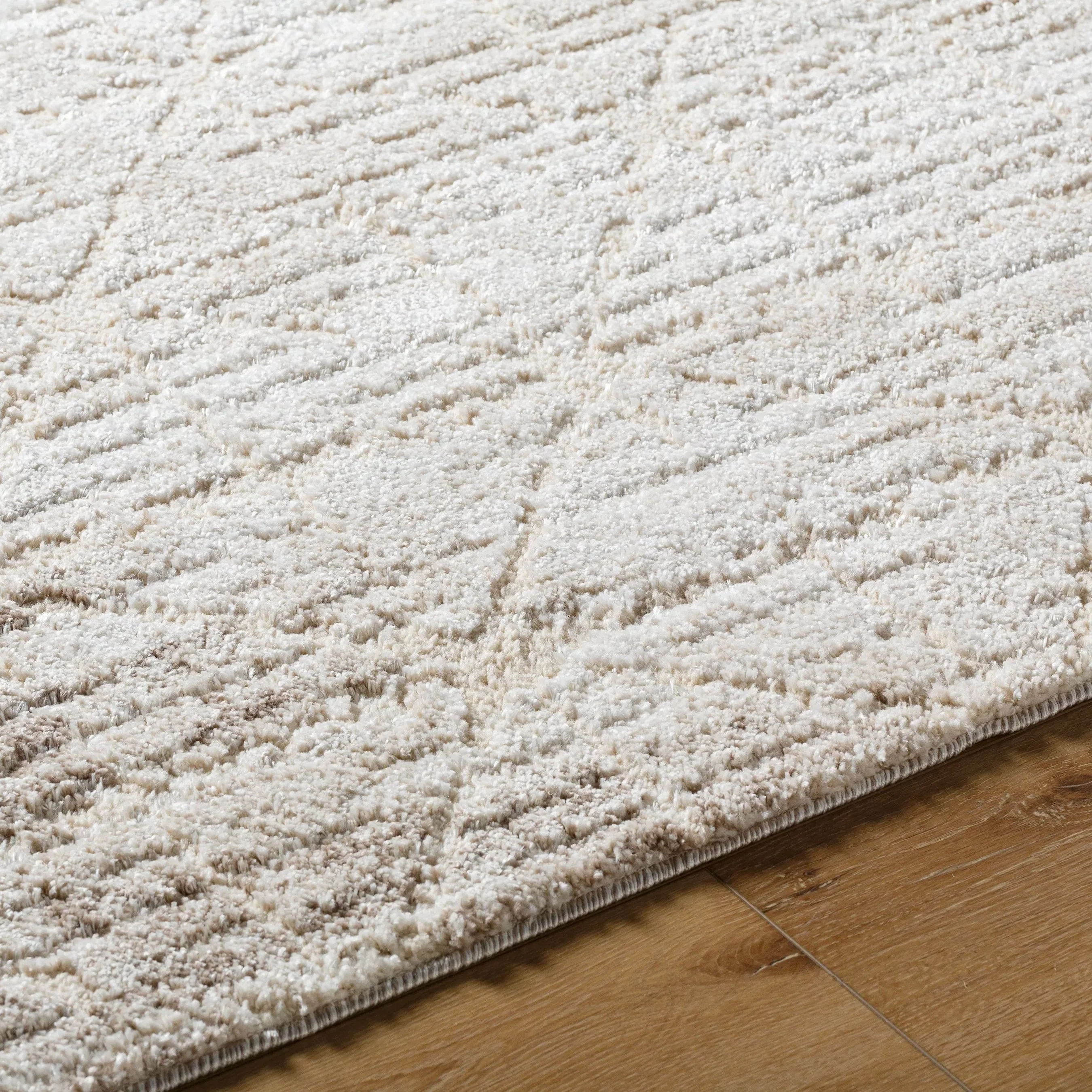 Andorra Plus ARP-2306 Rug - Image 8