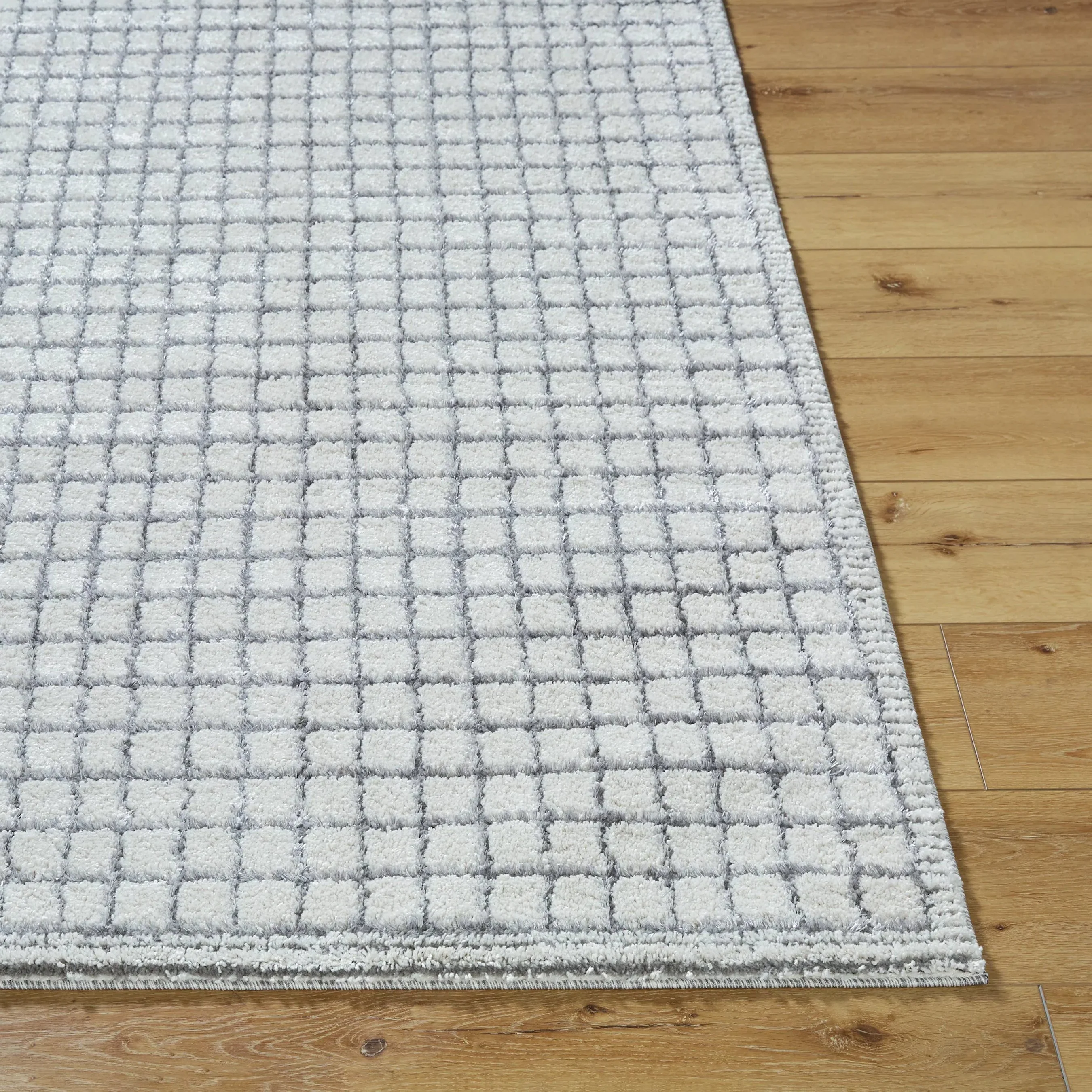 Andorra Plus ARP-2309 Rug - Image 3