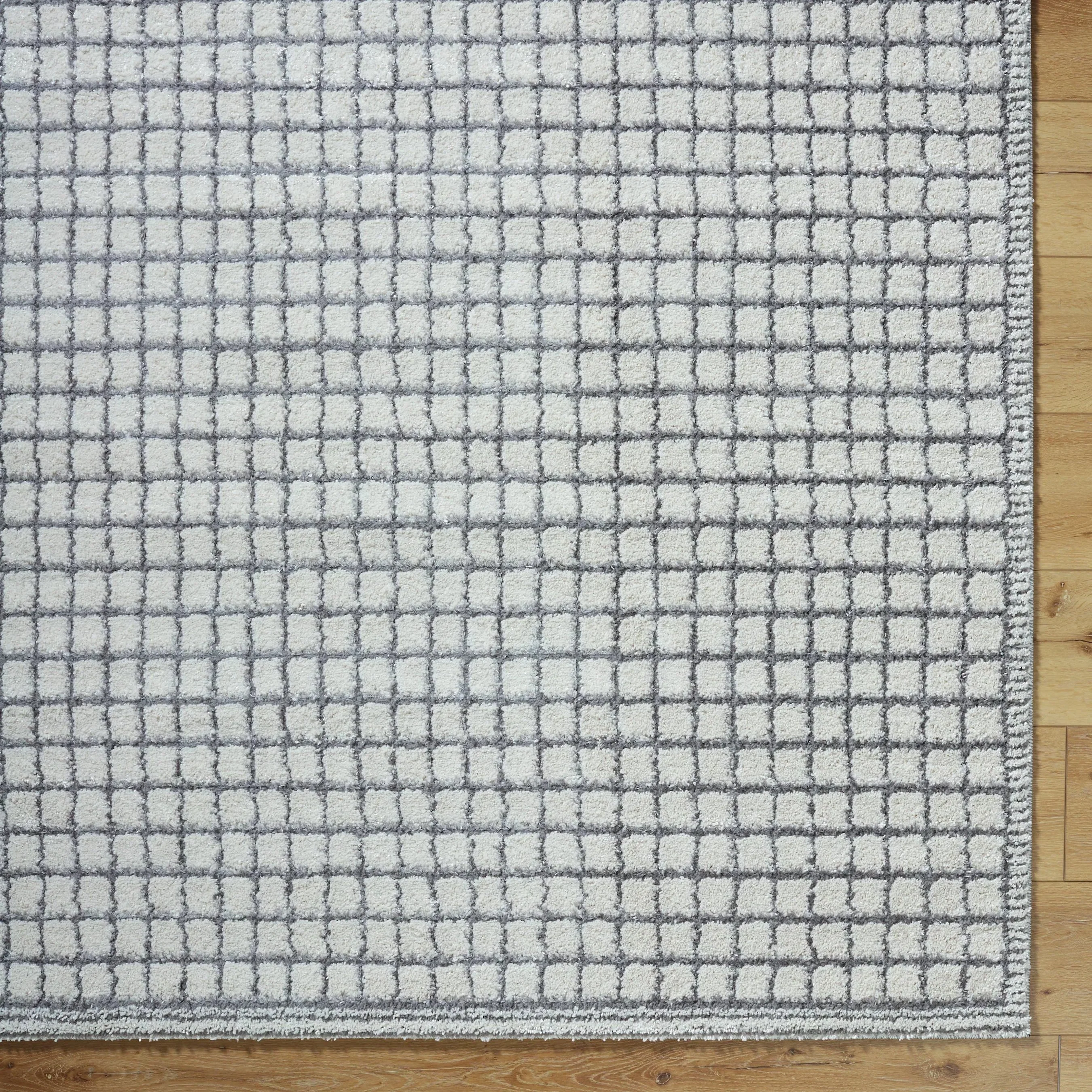 Andorra Plus ARP-2309 Rug - Image 6