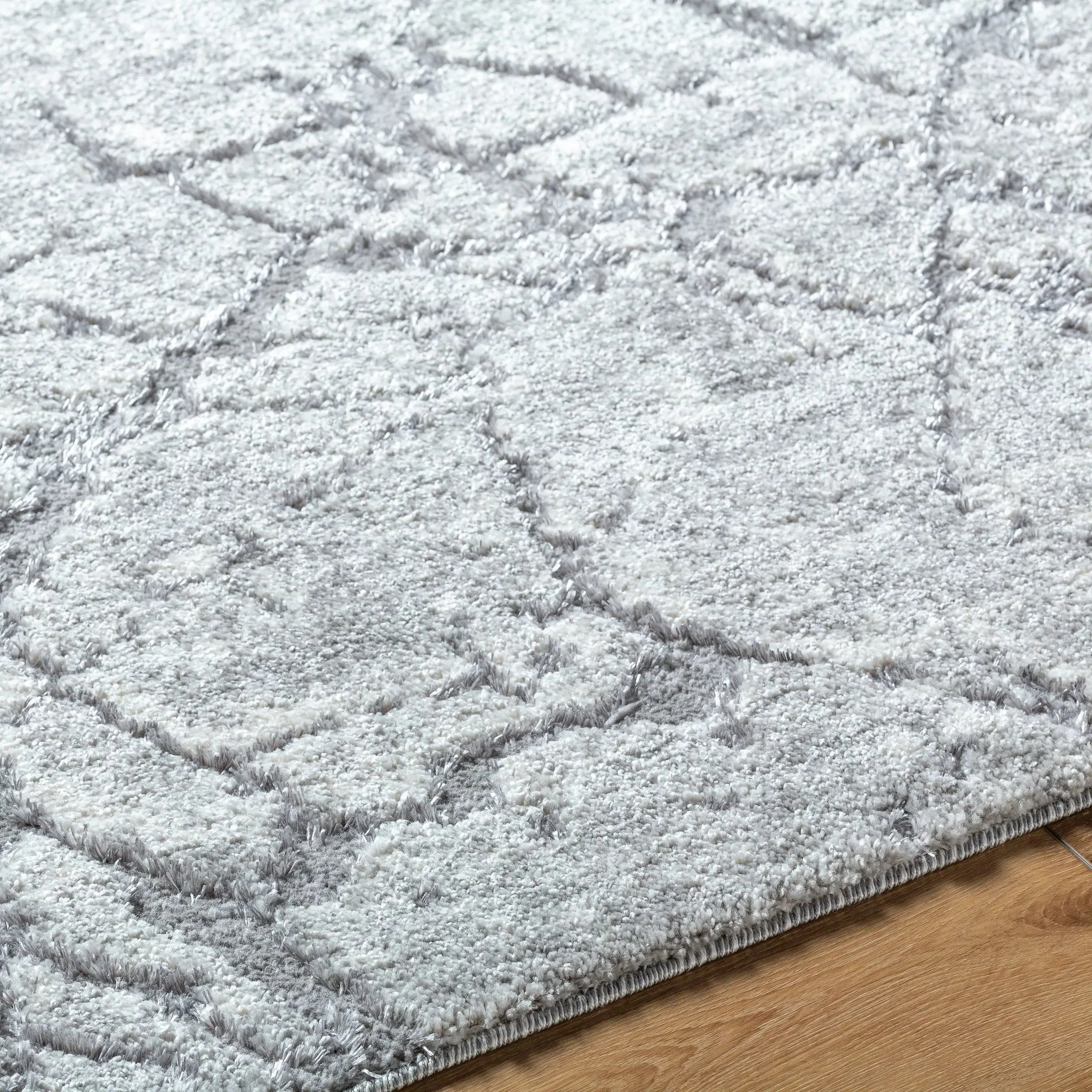 Andorra Plus ARP-2312 Rug - Image 10
