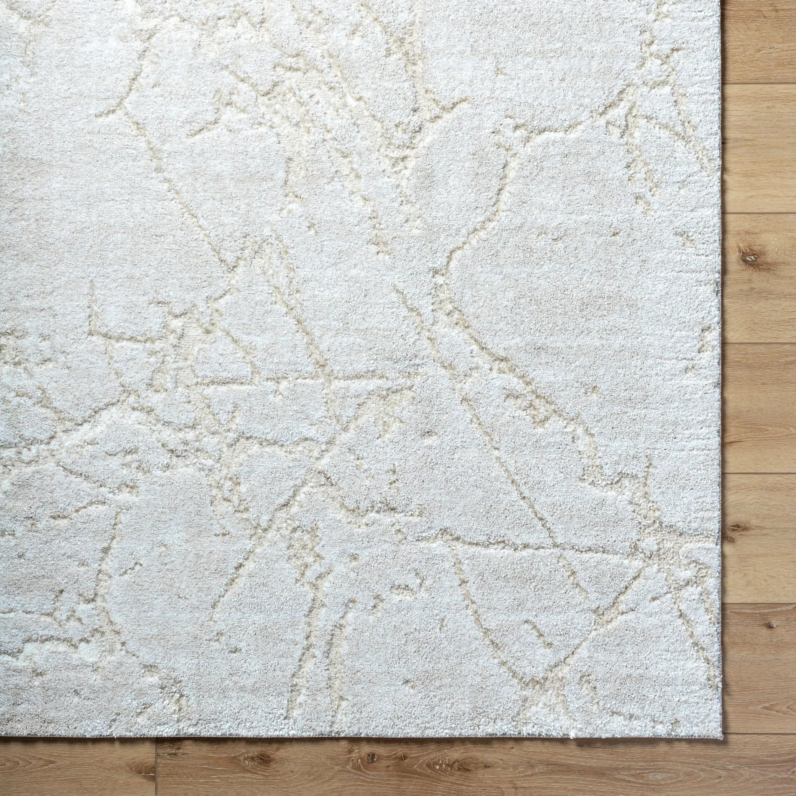 Andorra Plus ARP-2312 Rug - Image 12