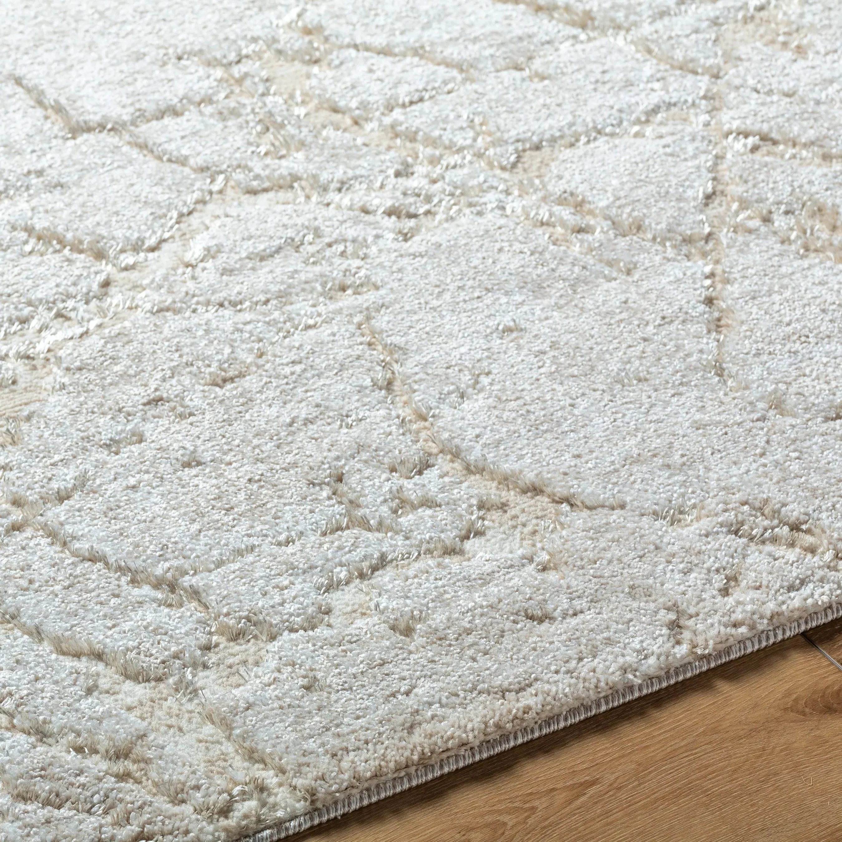 Andorra Plus ARP-2312 Rug - Image 8