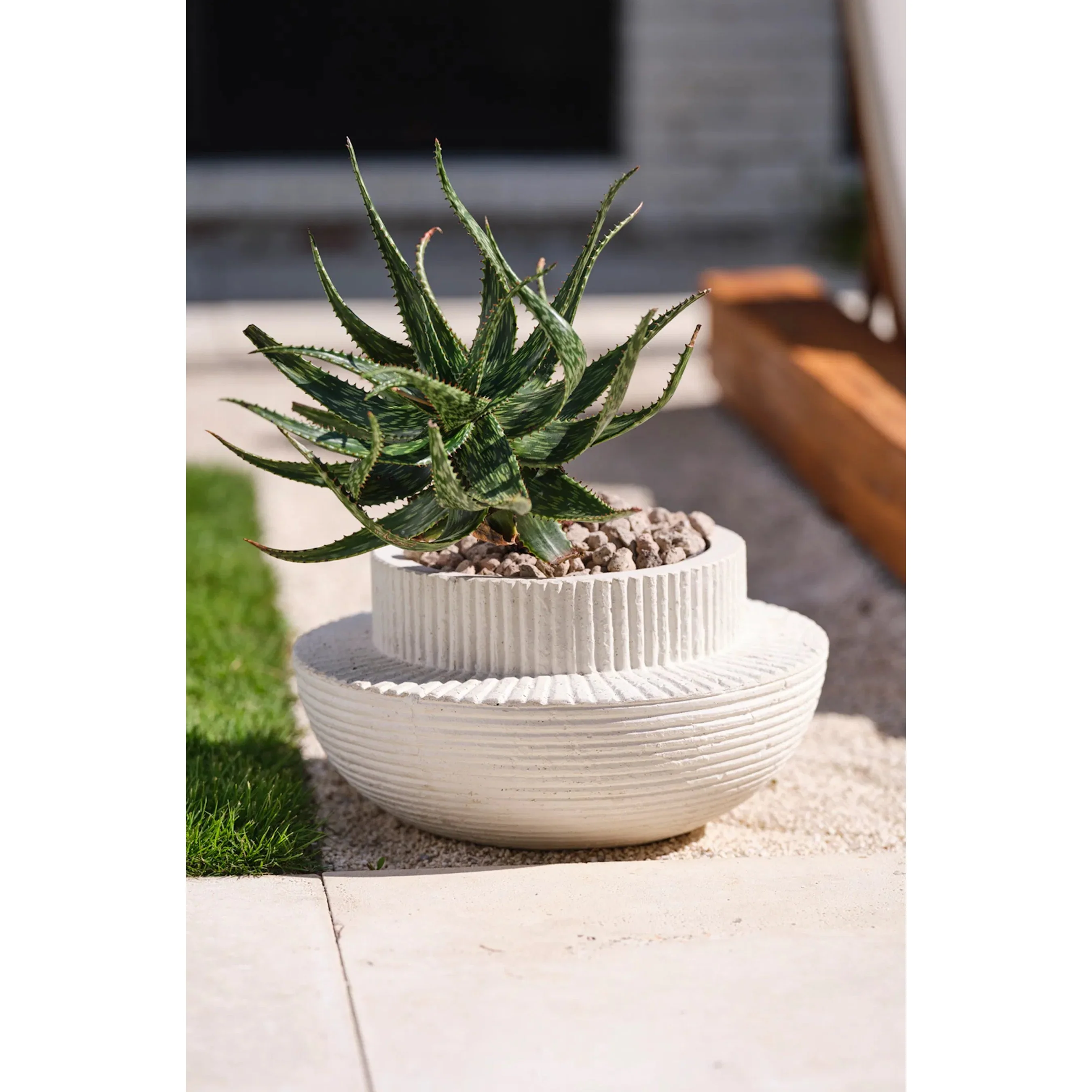 Andromeda Pot - Image 2