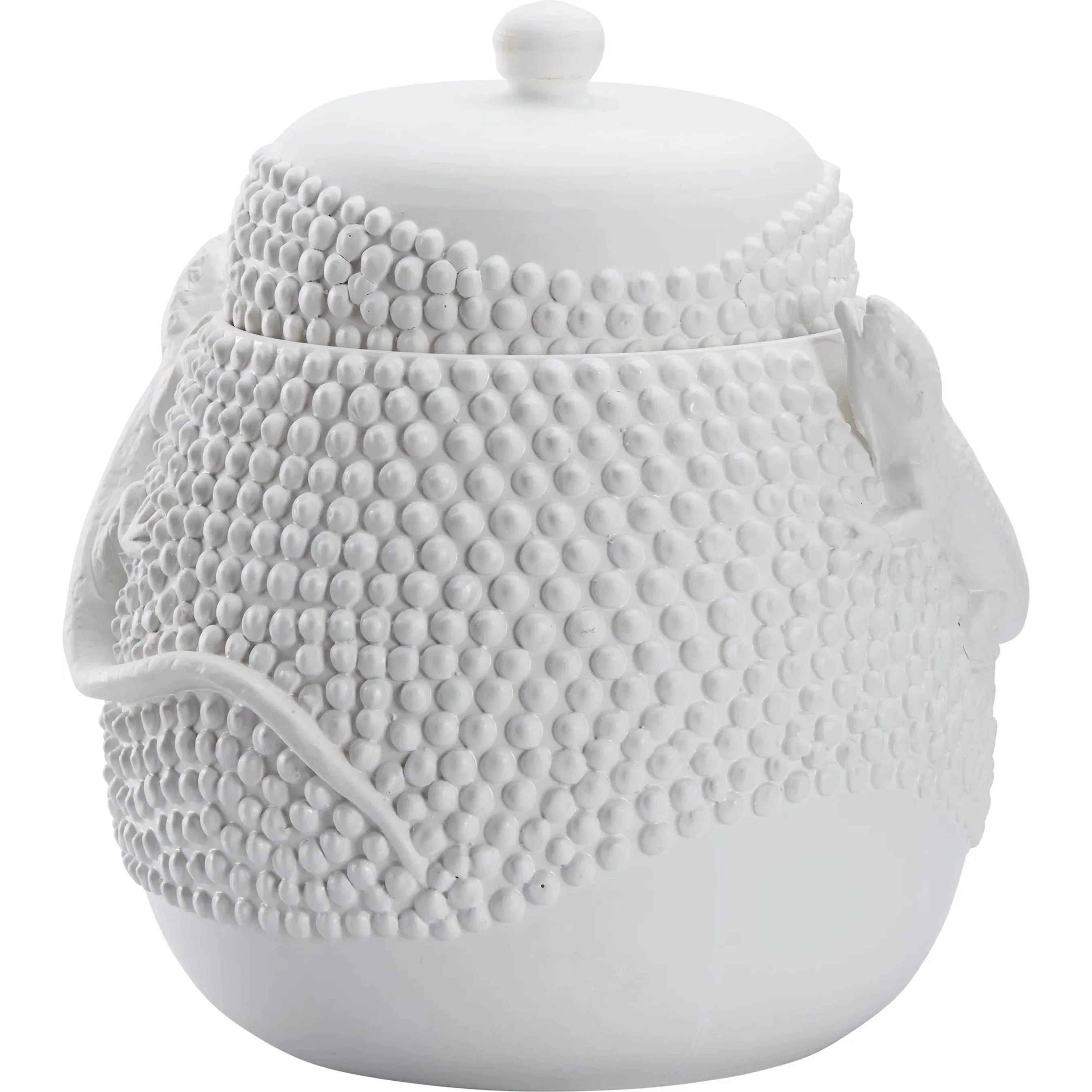 Anolis Canister