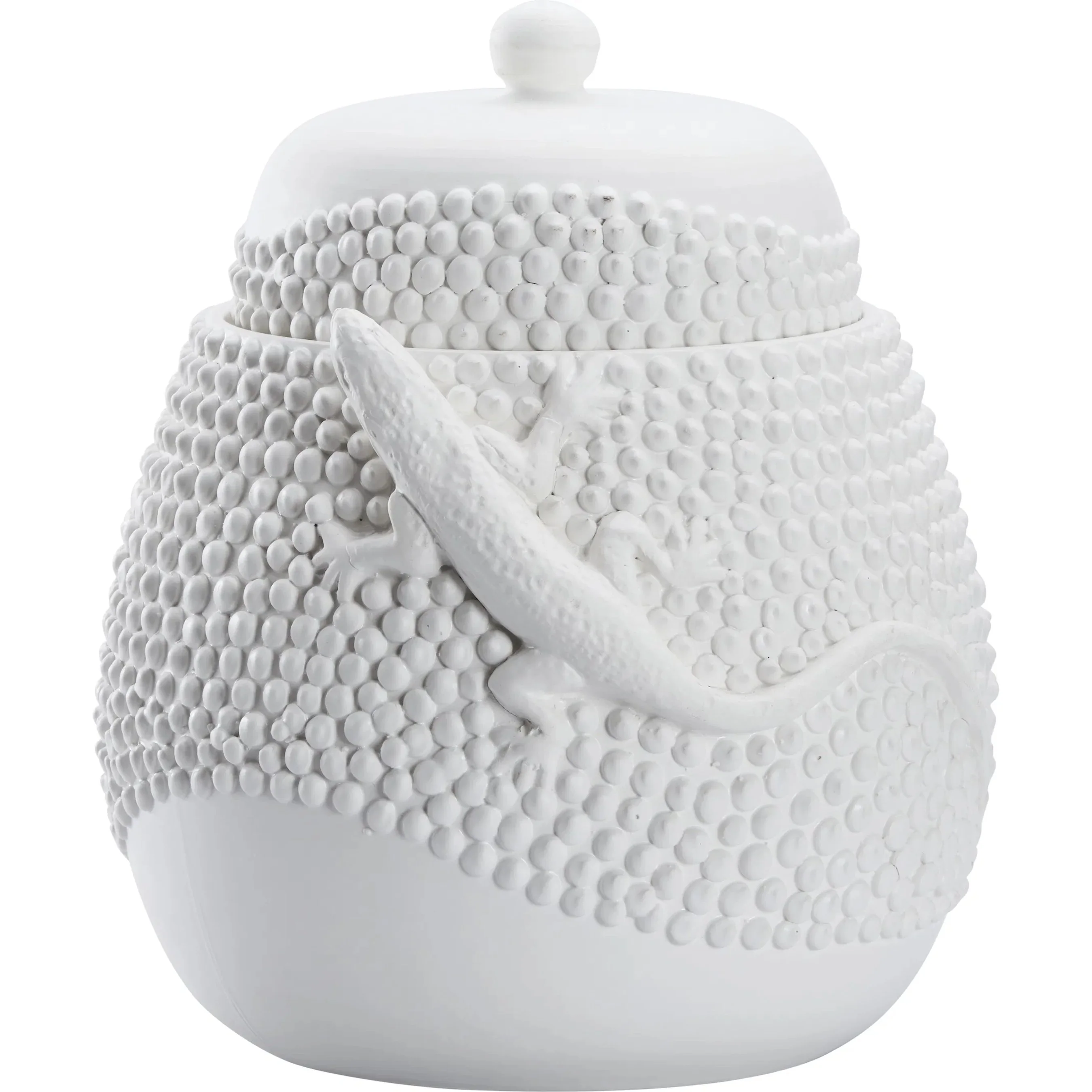 Anolis Canister - Image 2