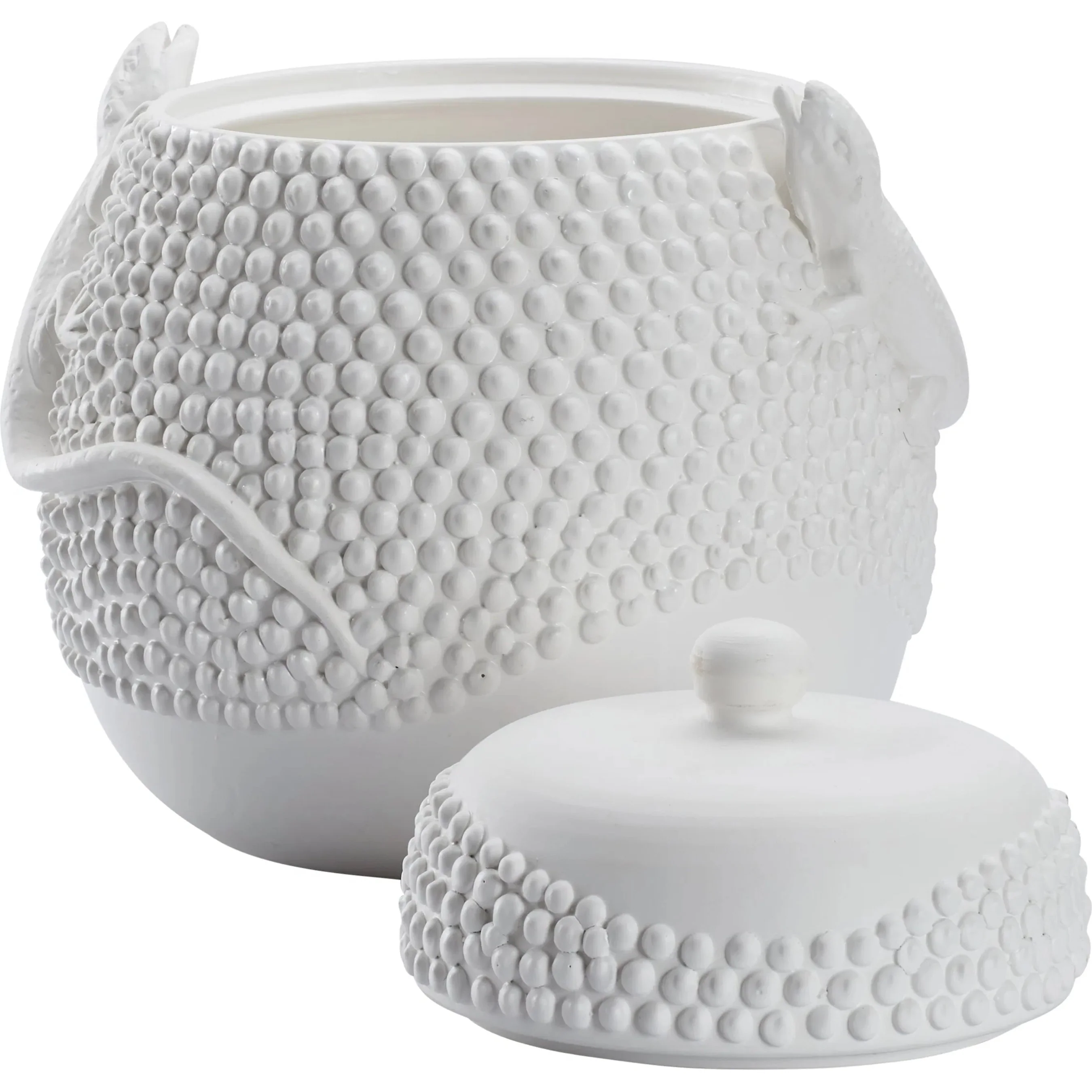 Anolis Canister - Image 3