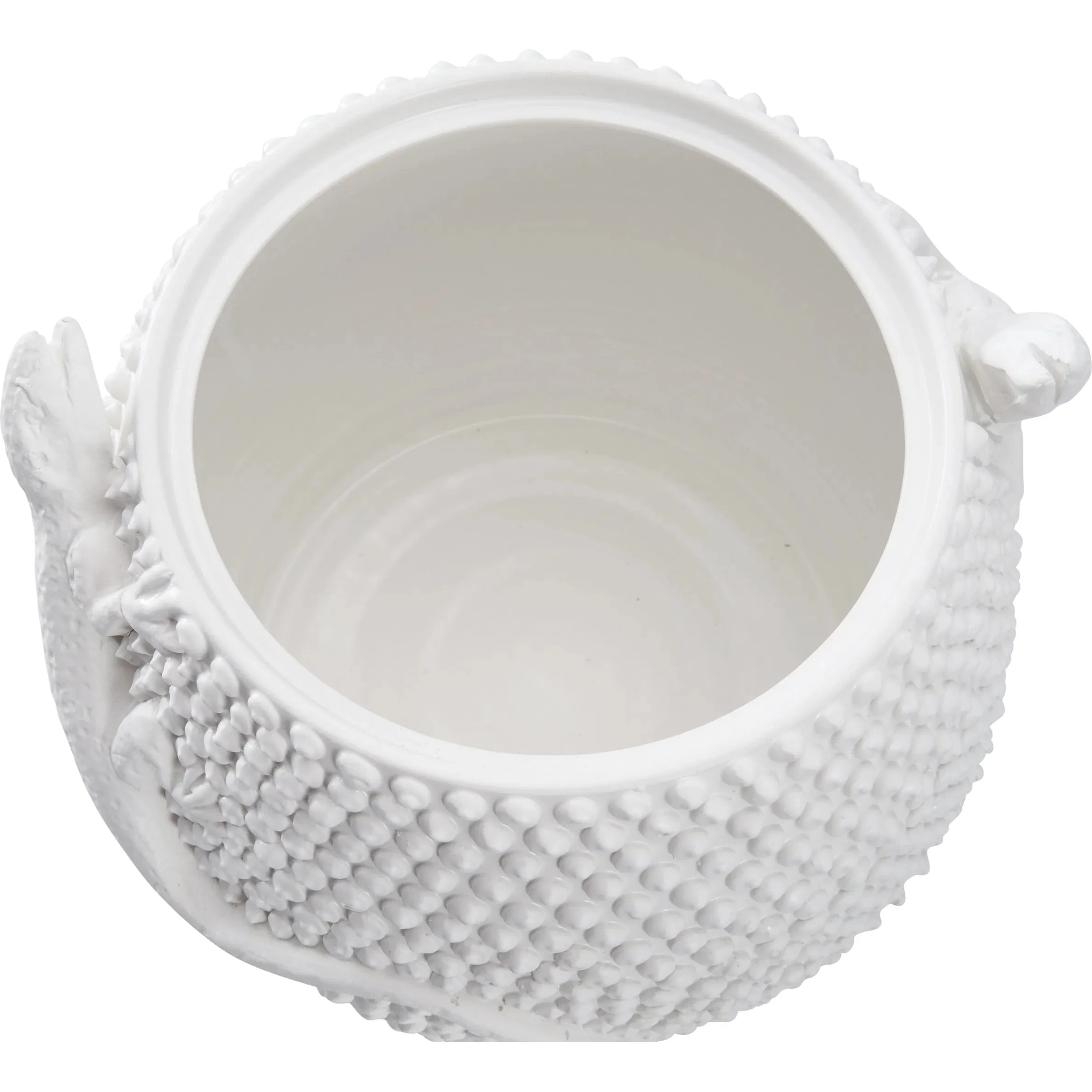 Anolis Canister - Image 4