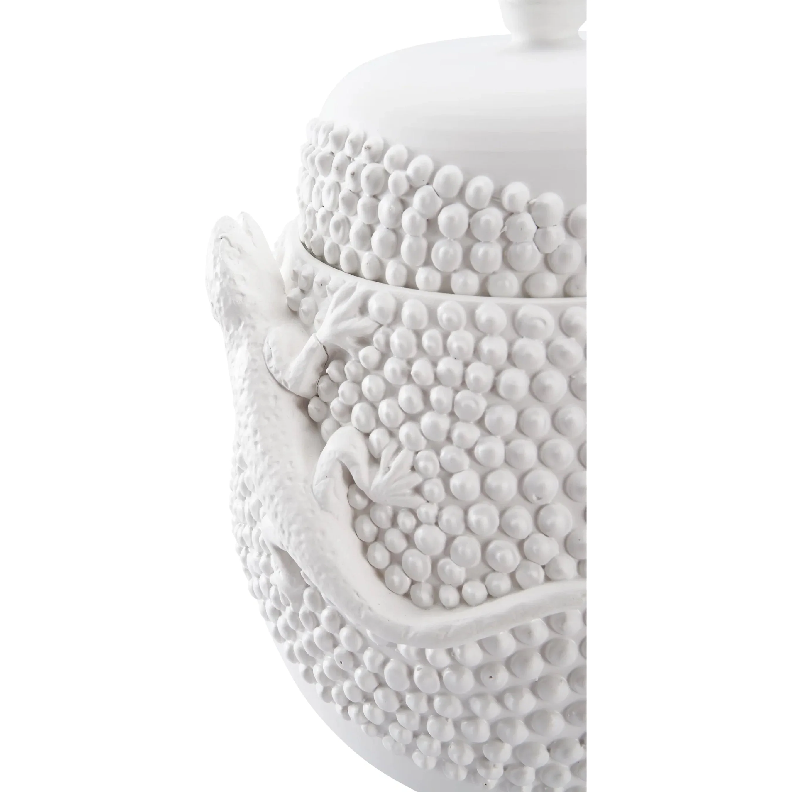 Anolis Canister - Image 5