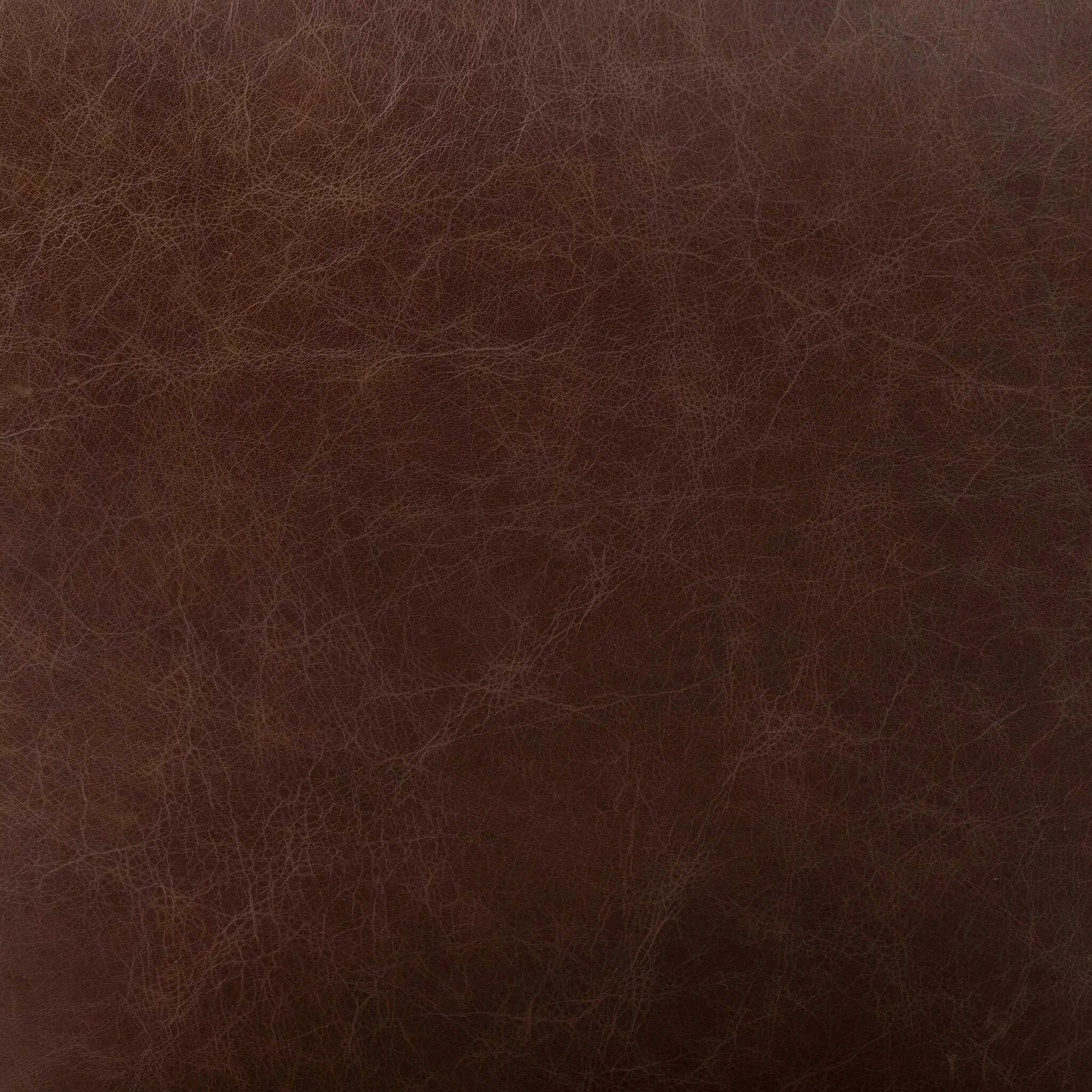 Anton Dining Chair - Image 14