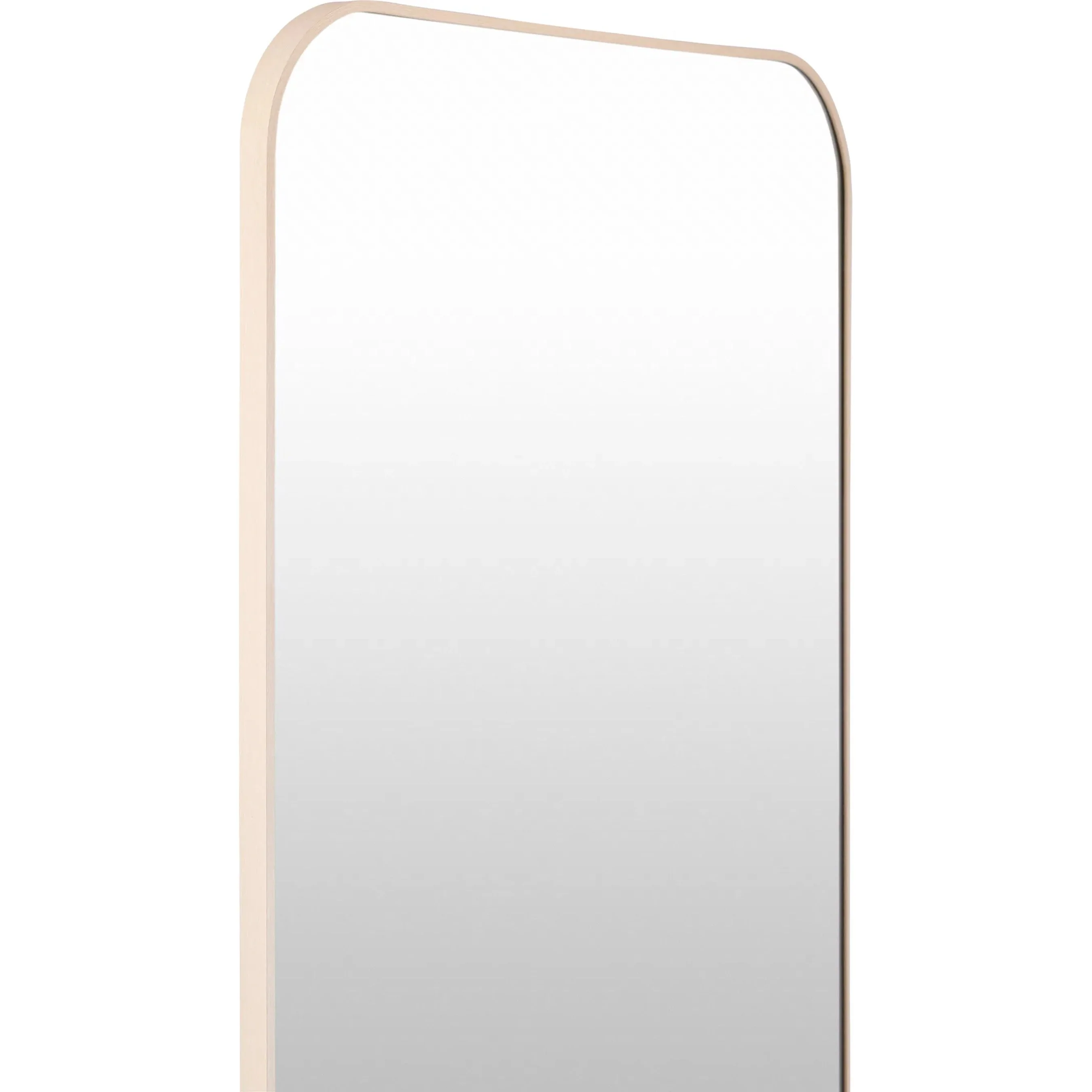 Aranya Indoor/Outdoor Full Length Mirror - Image 3