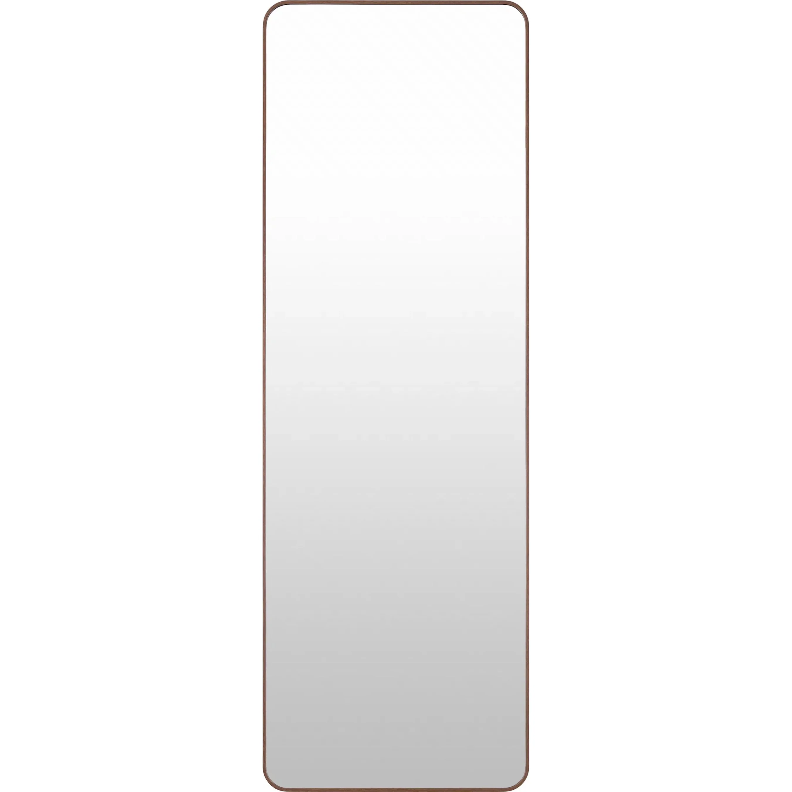Aranya Indoor/Outdoor Wall Mirror - Image 2
