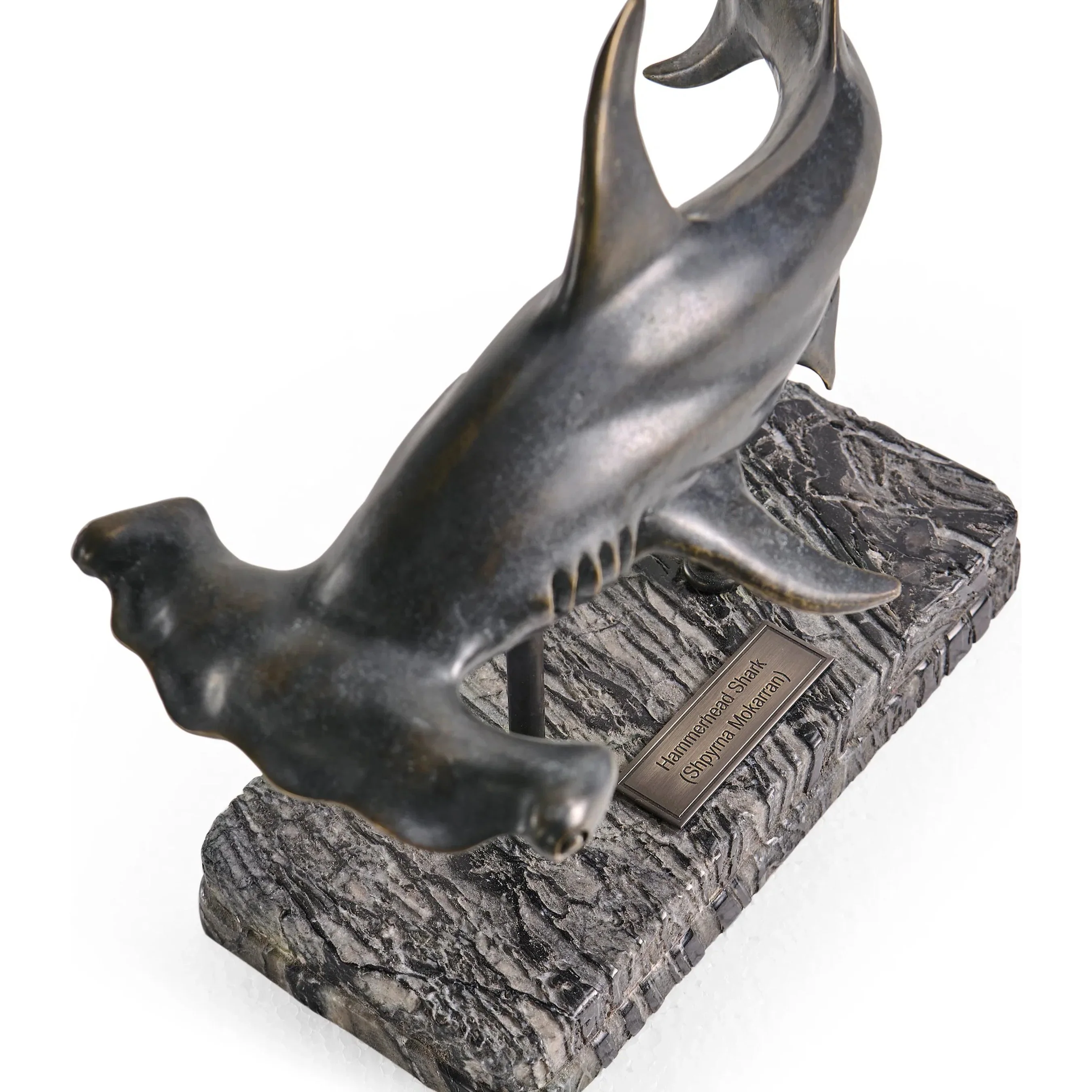 Arc Hammerhead Shark Bronze Statue with Marble Base - Image 18