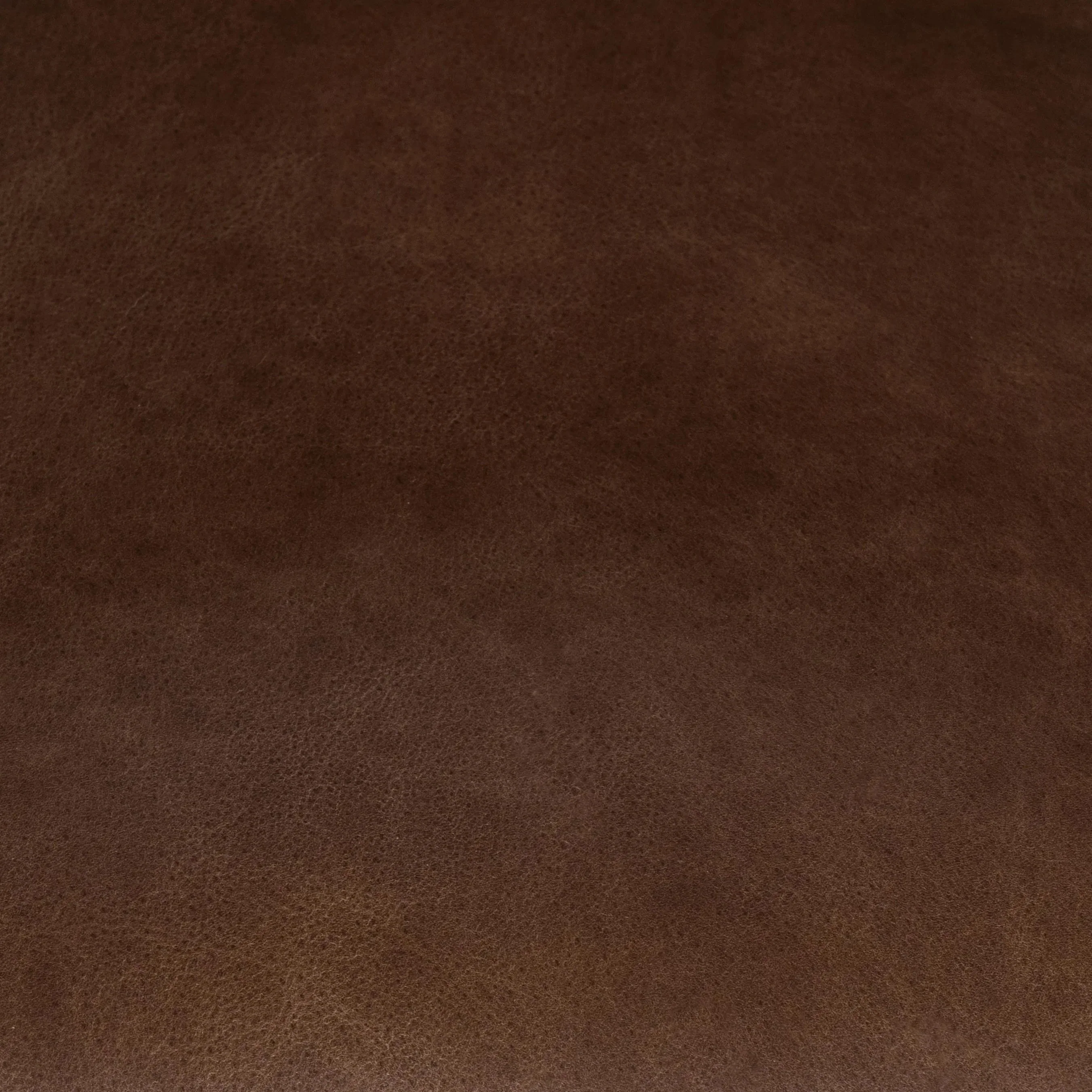 Archie Dining Chair - Image 17