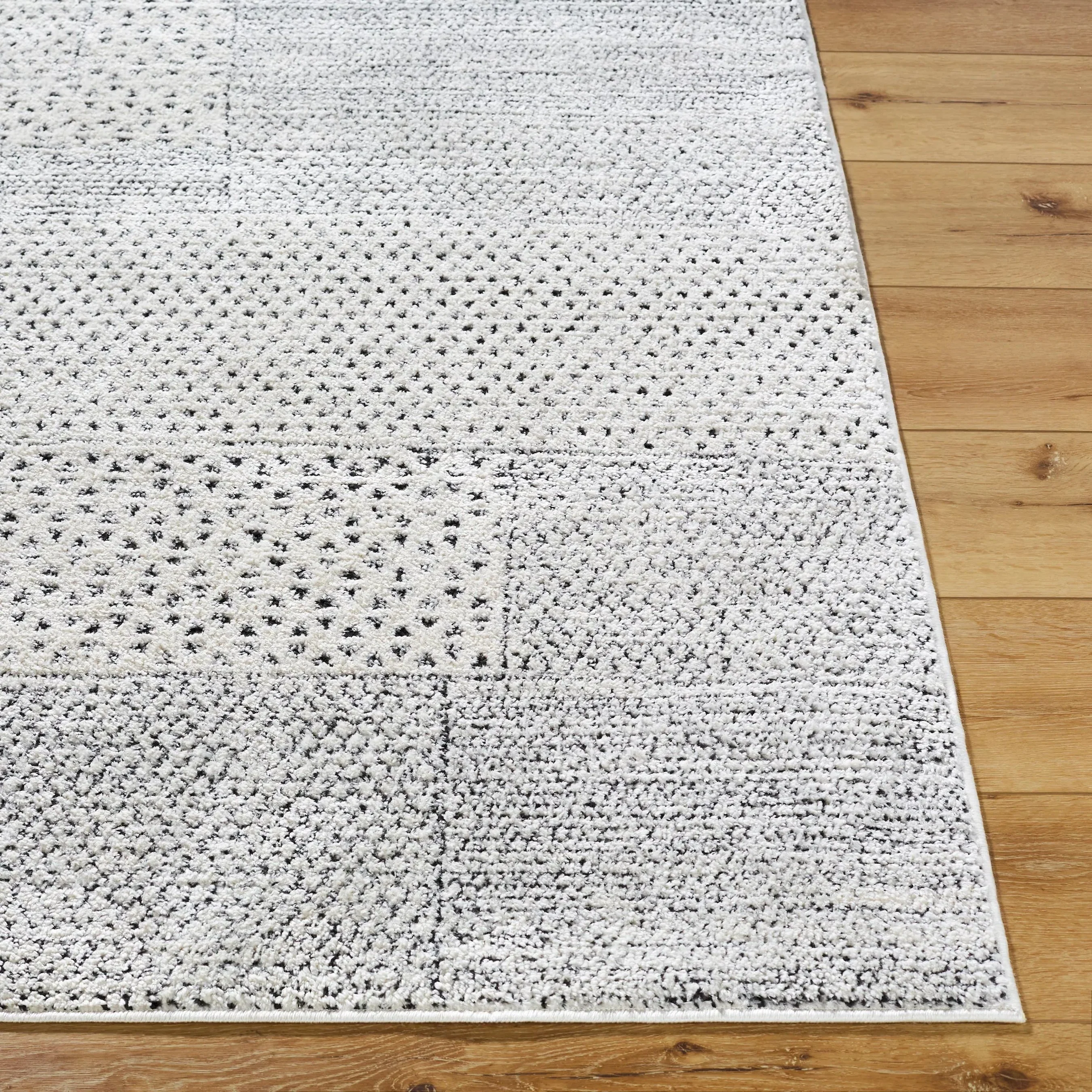 Architect GAAR-2302 Rug - Image 4