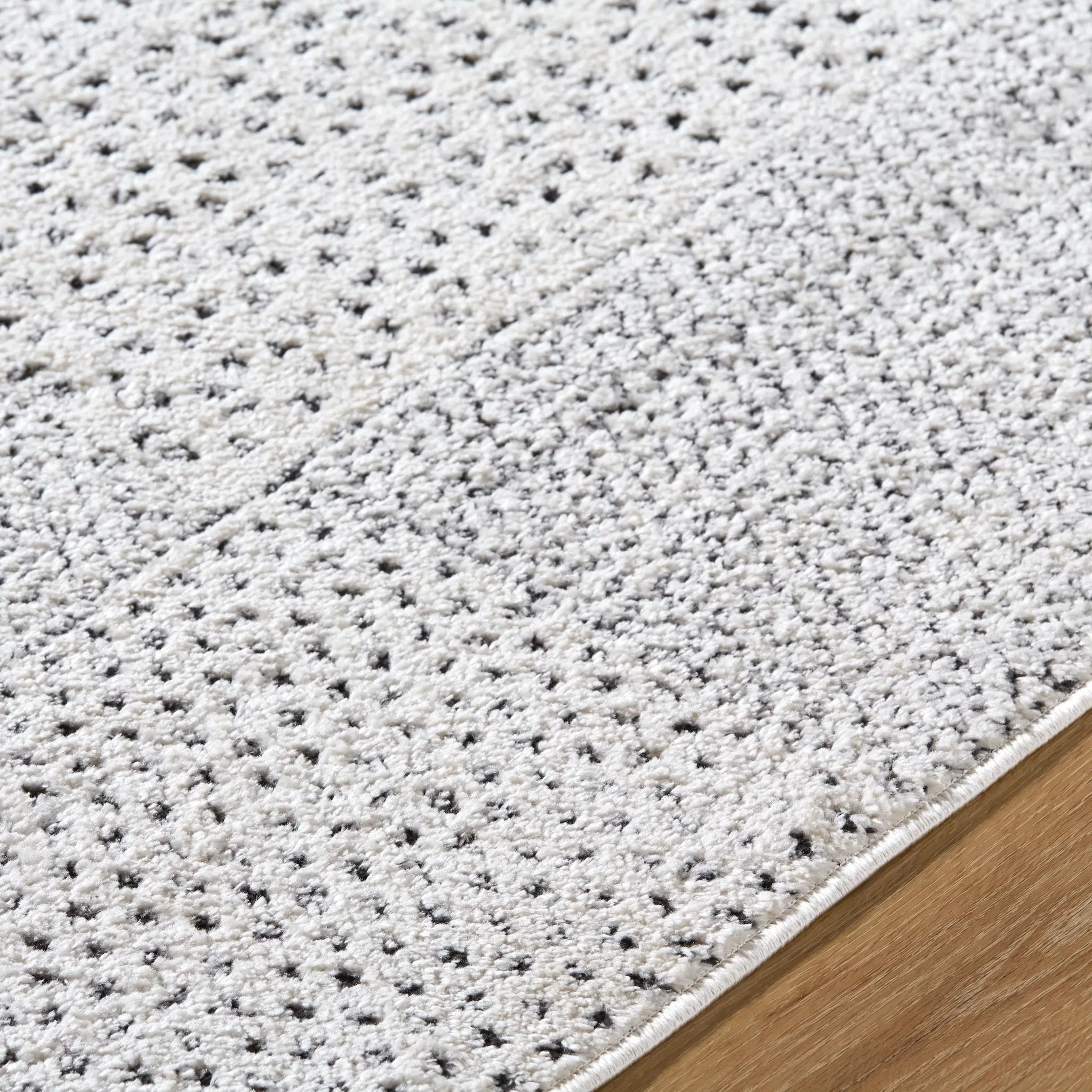 Architect GAAR-2302 Rug - Image 5