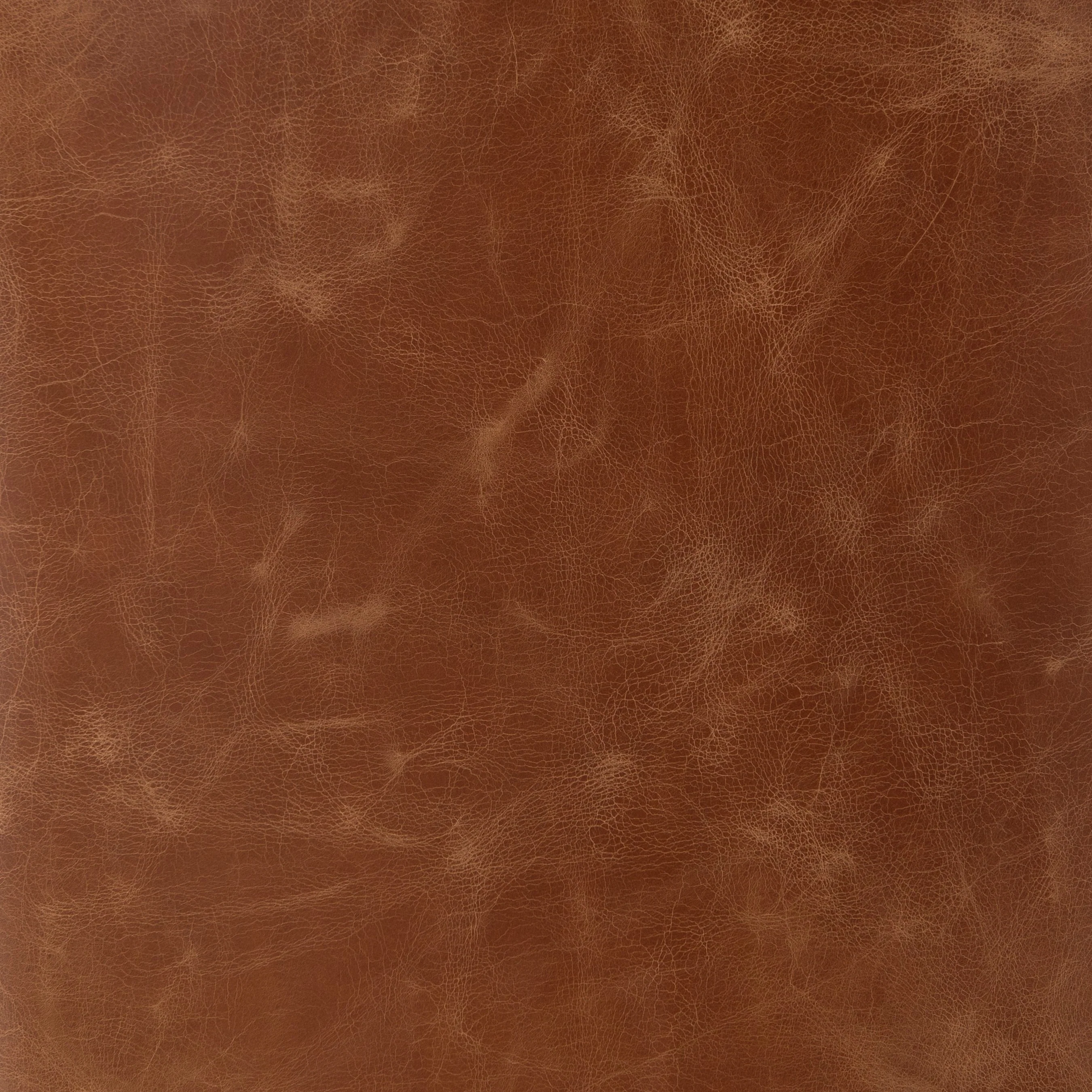Aria Dining Chair - Image 10