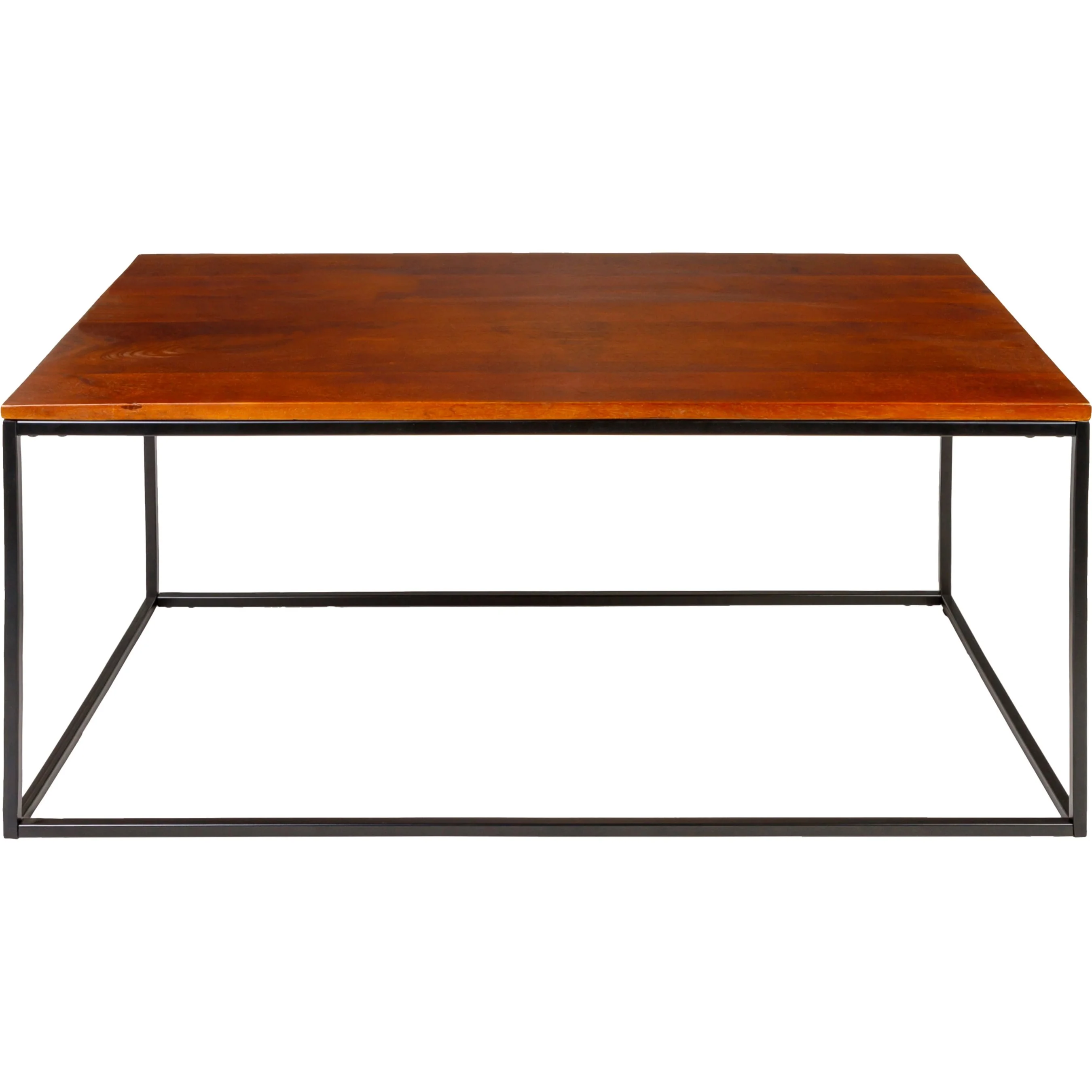 Aryaa Indoor/Outdoor Coffee Table - Image 2