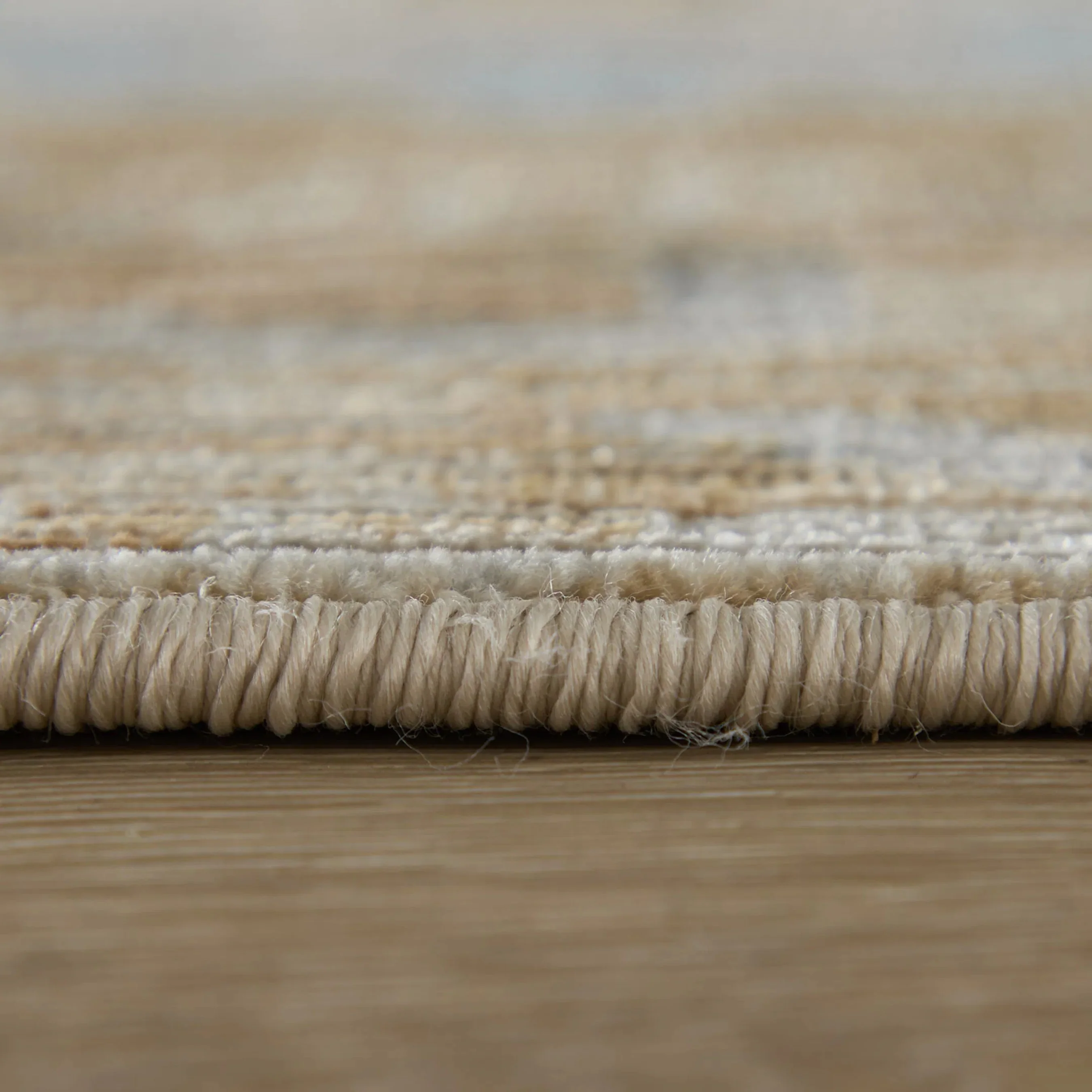 Augustine Traditional & Botanical AUG39TXF Rug - Image 6