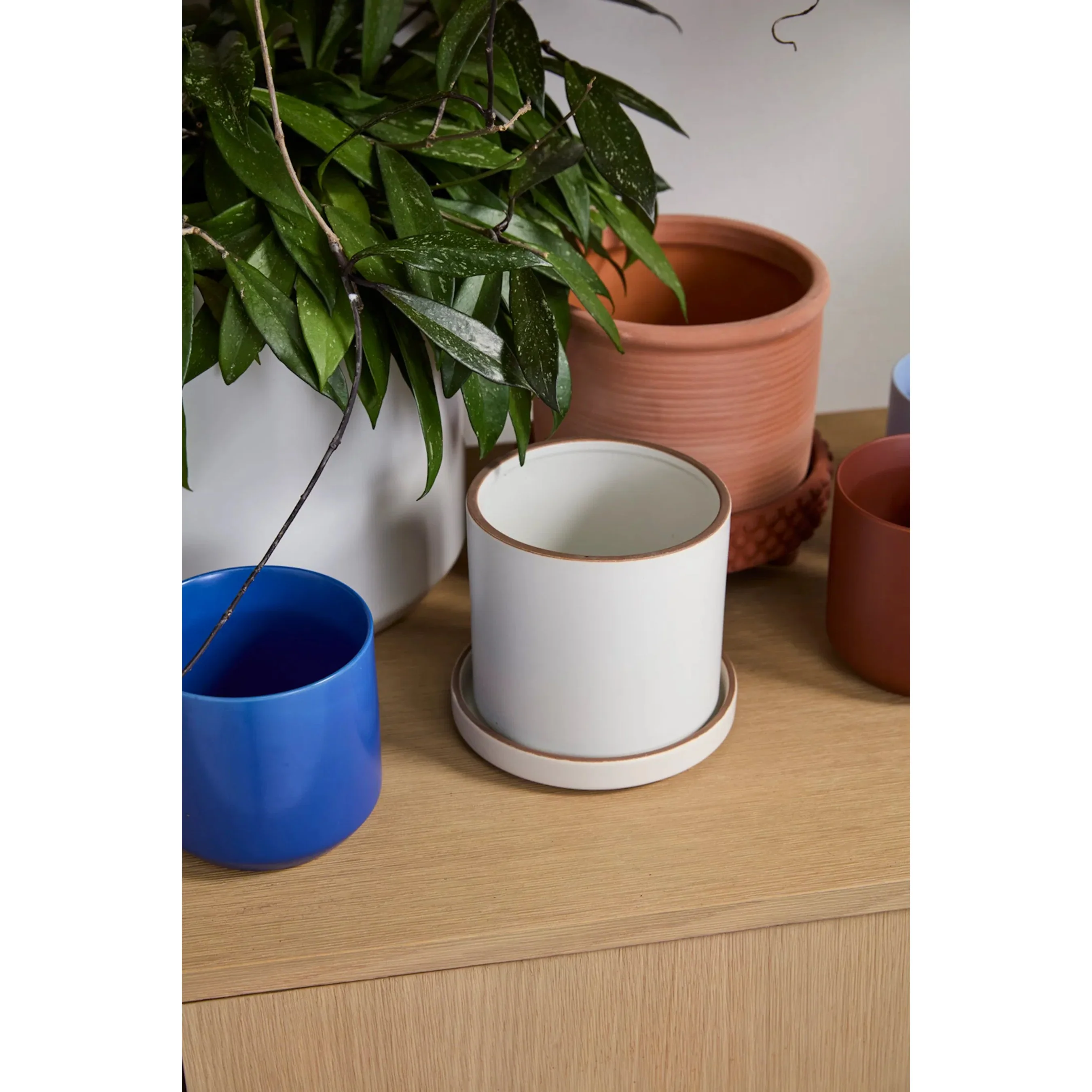 Author Pot with Saucer 2 (Set of 2) - Image 3