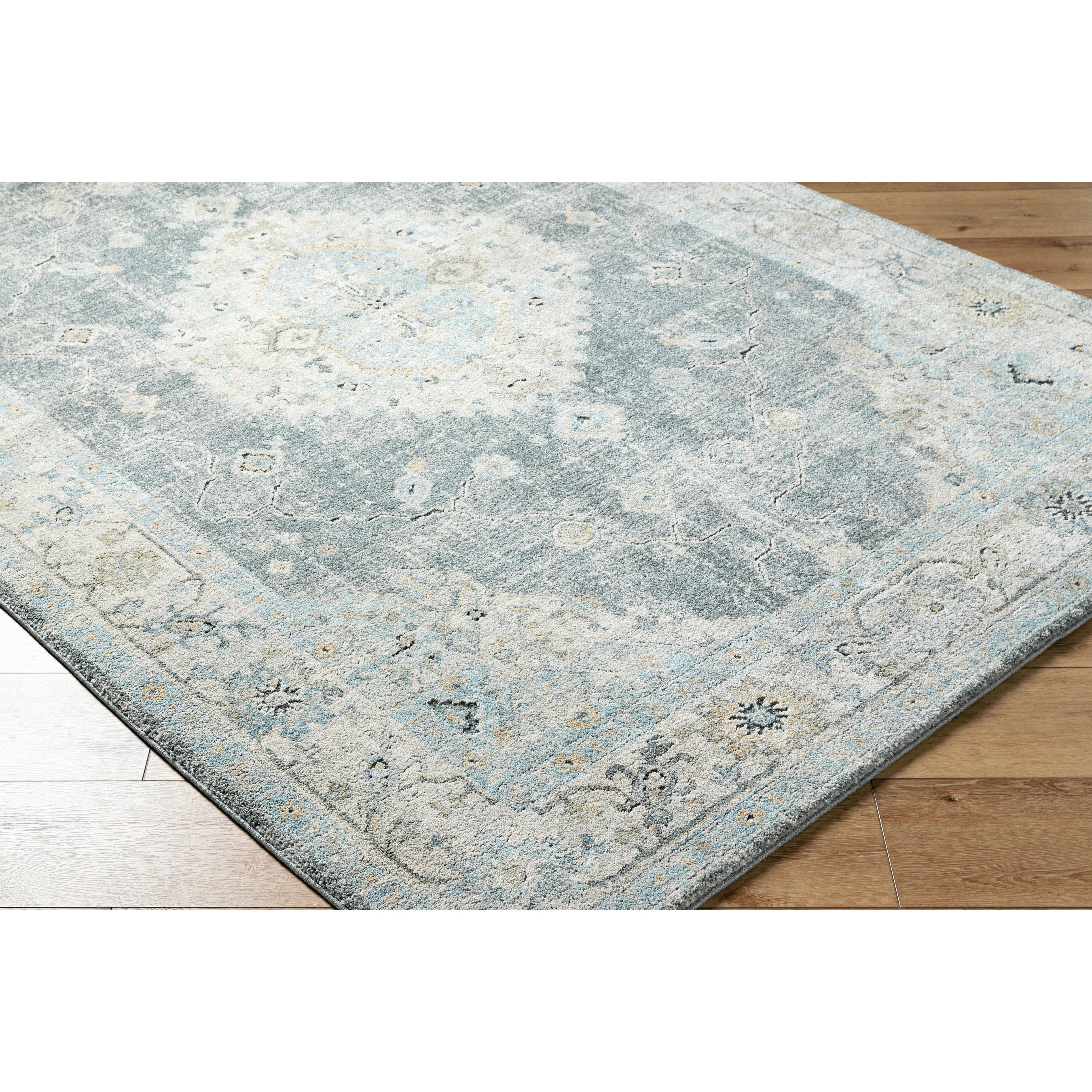 Avellino AVL-2314 Rug - Image 14