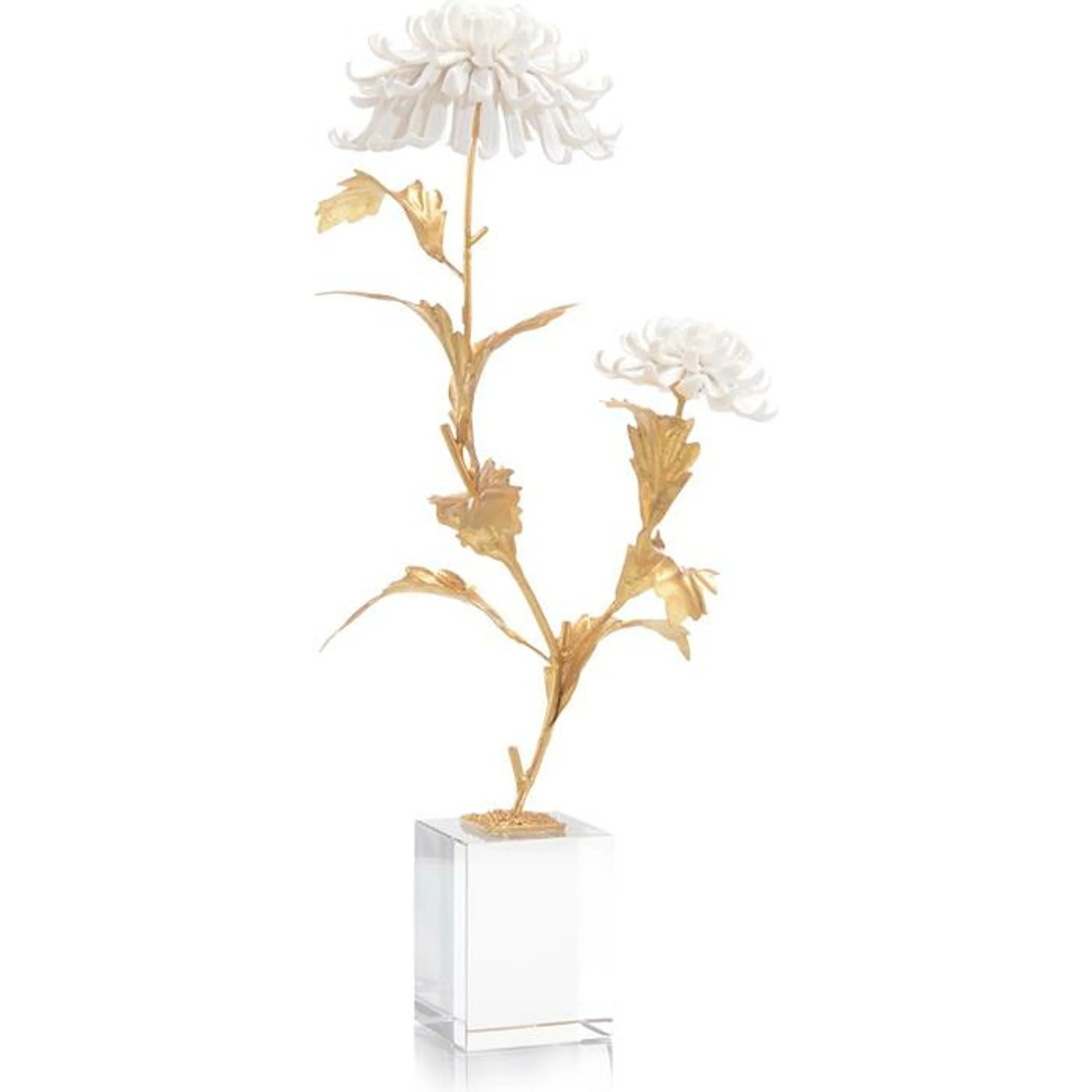 Avignon Chrysanthemums
