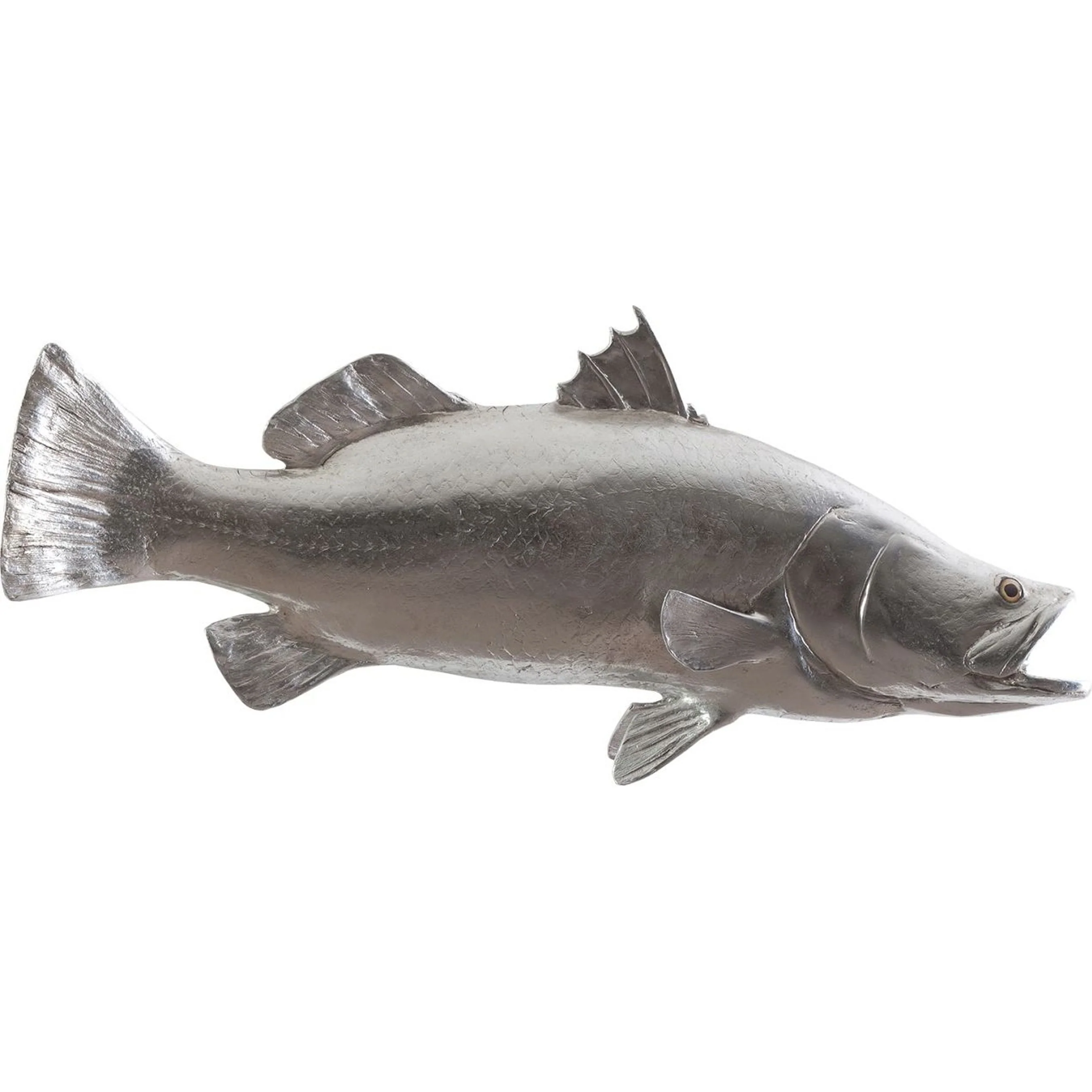 Barramundi Fish