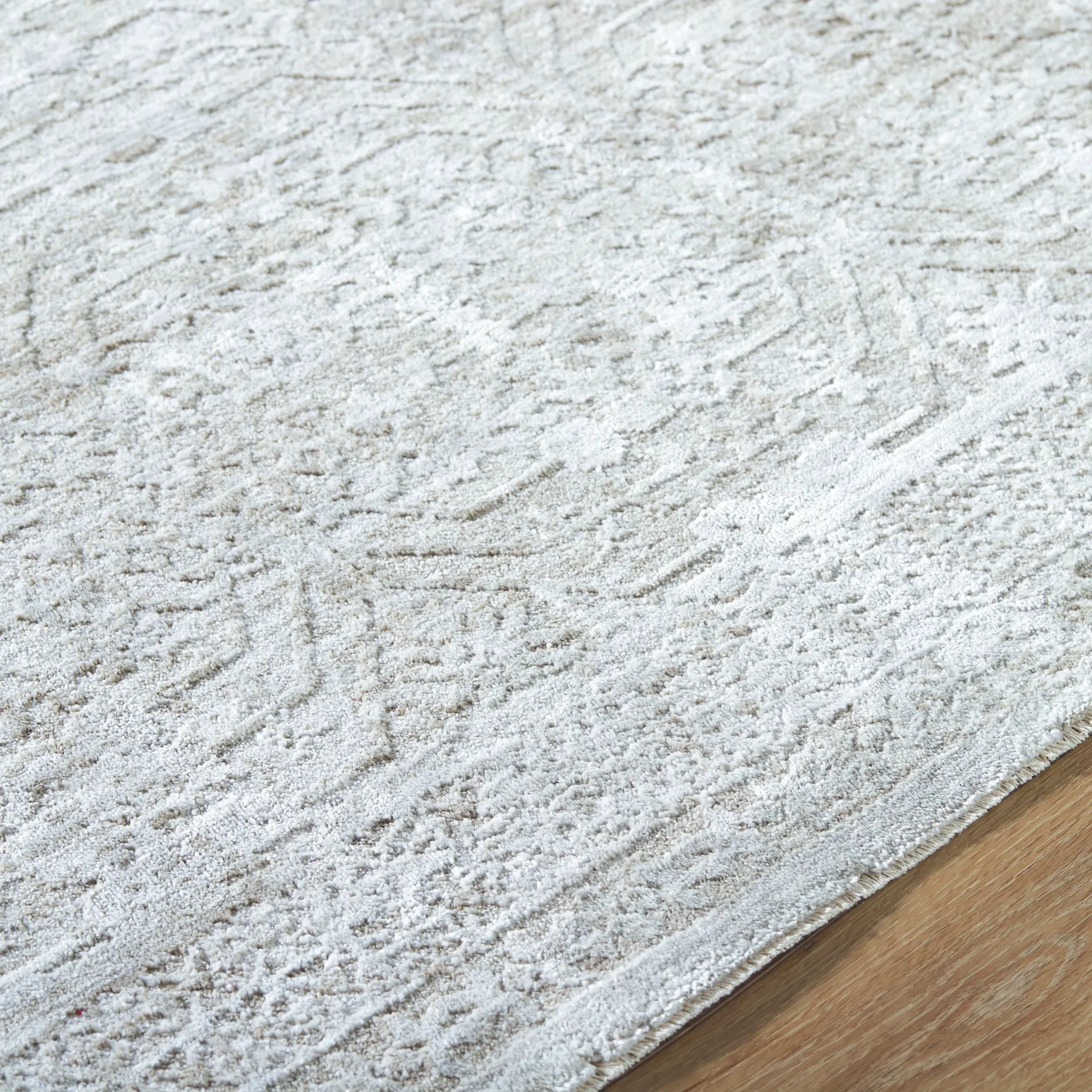 Beth VVBE-2301 Rug - Image 3