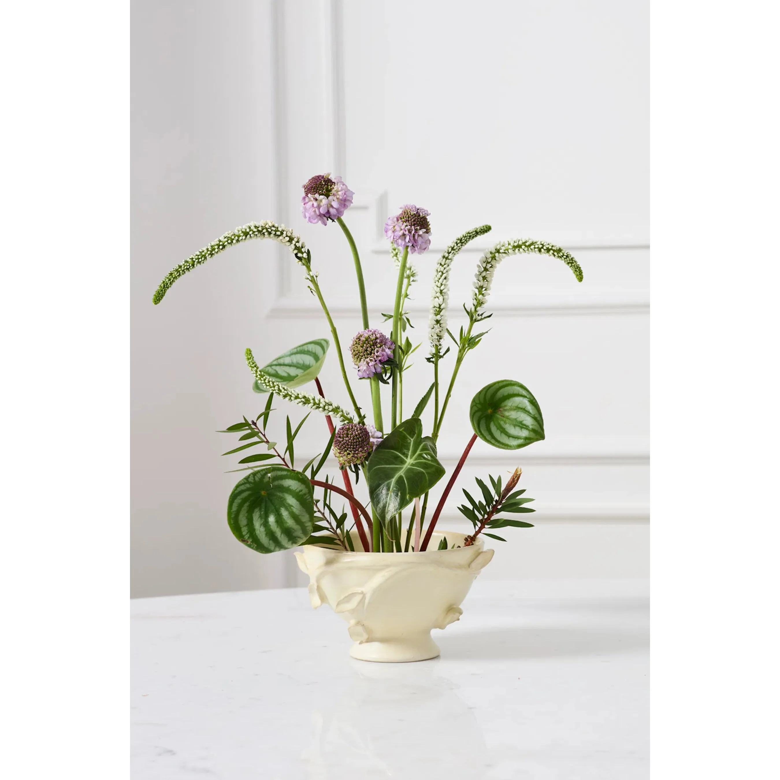 Bianca Compote - Image 2