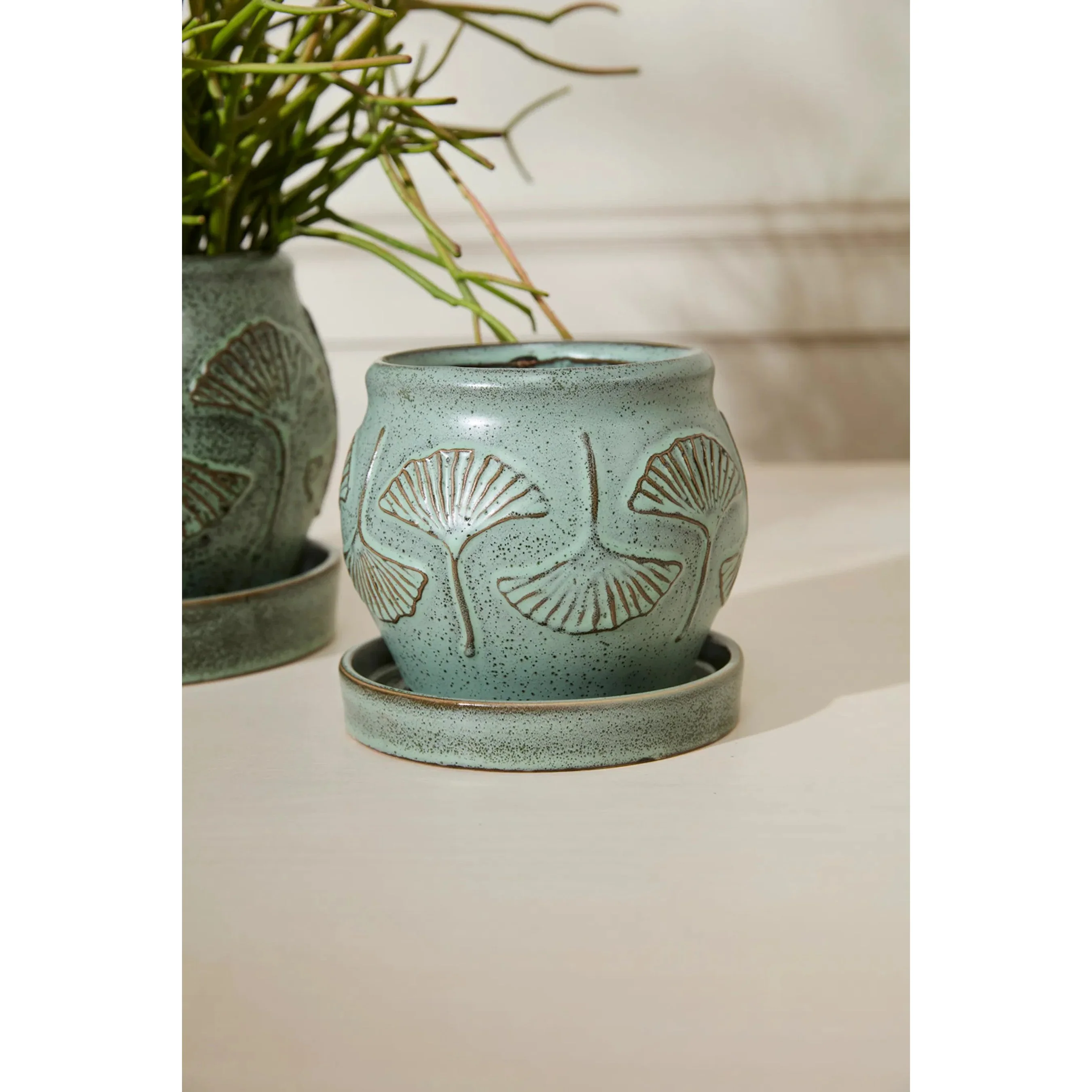 Biloba Pot with Saucer - Image 3