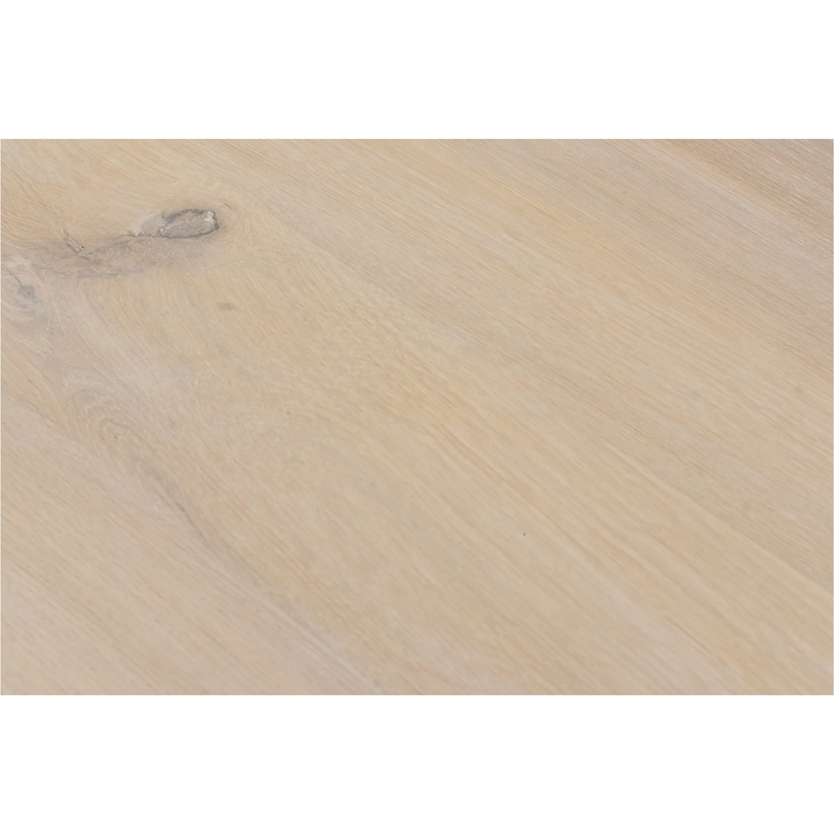 Bird Dining Table - Image 8