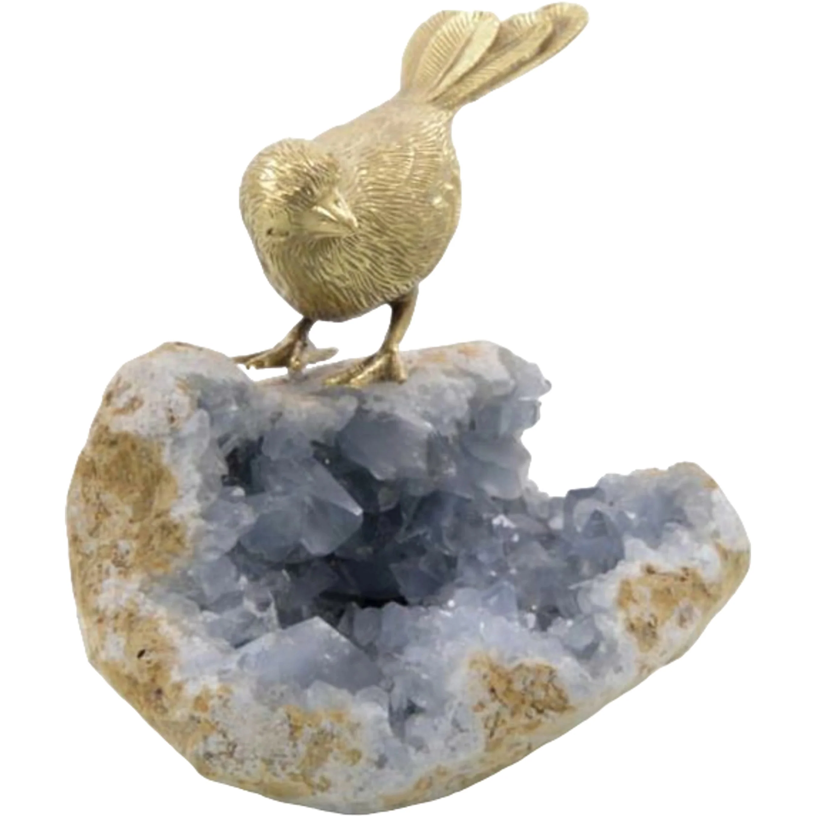 Bird on Celestite Rock II