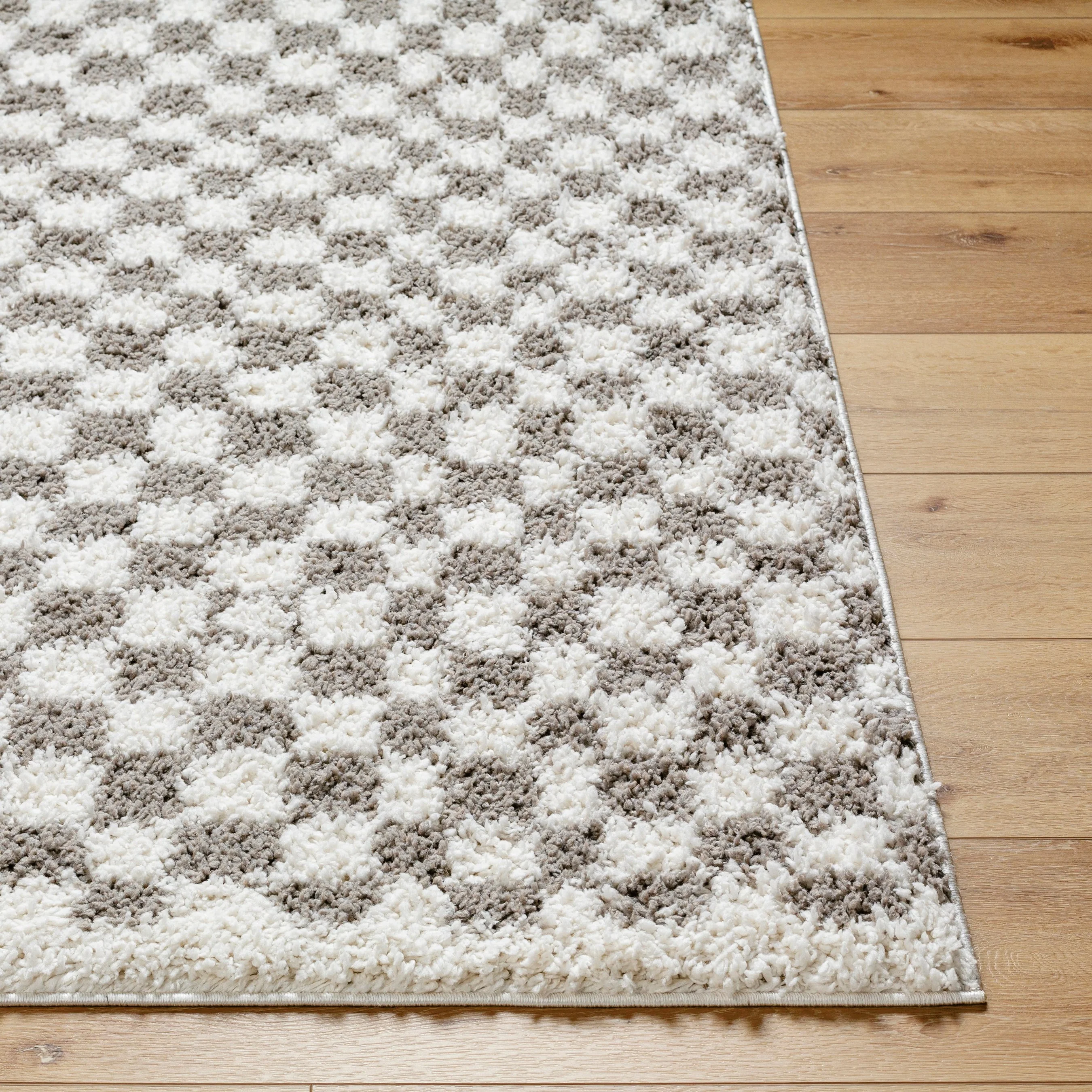 Birmingham BMM-2319 Rug - Image 18