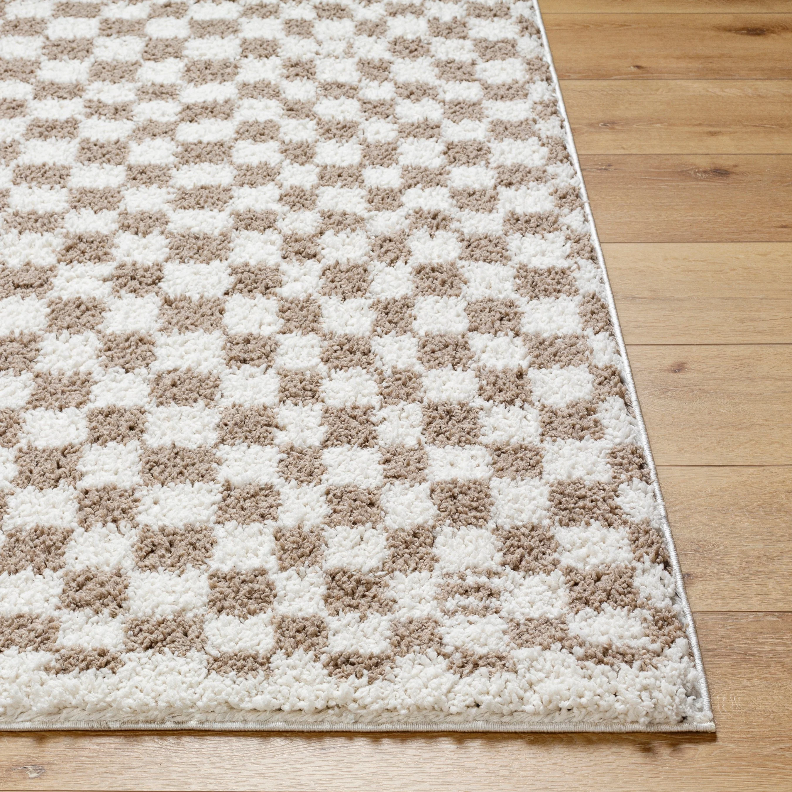 Birmingham BMM-2319 Rug - Image 6