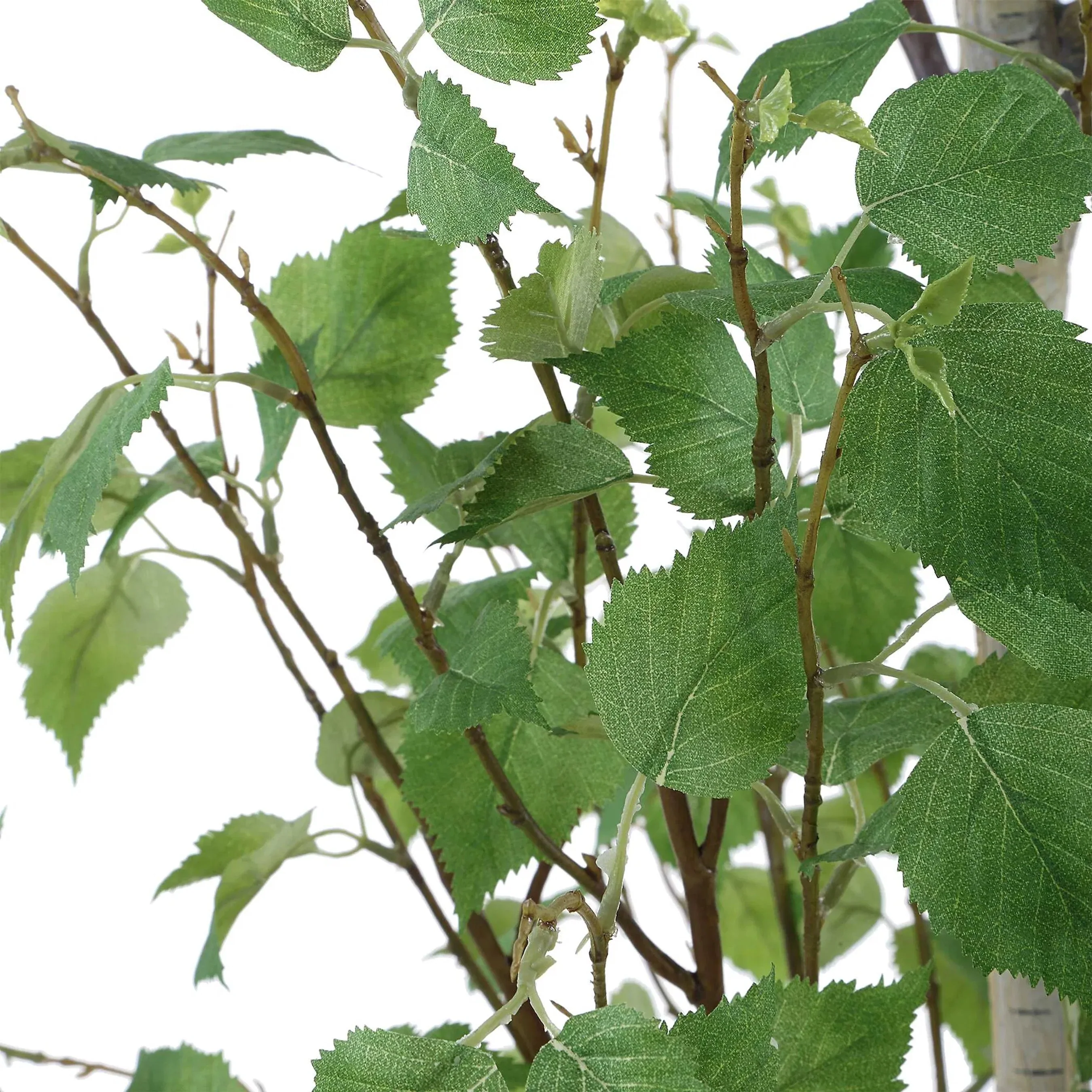 Boreal Potted Birch Tree - Image 2