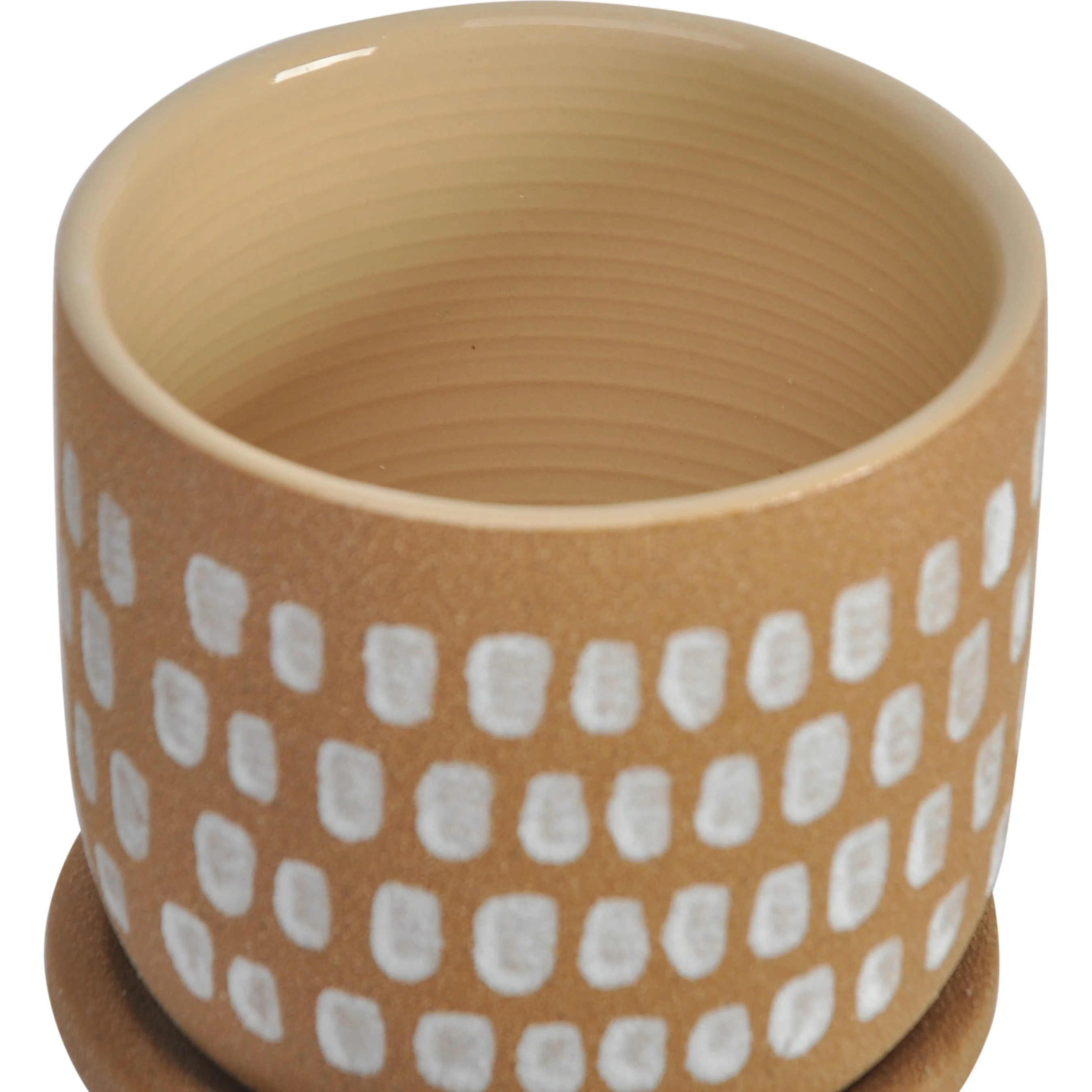 Botanical Planter - Image 3