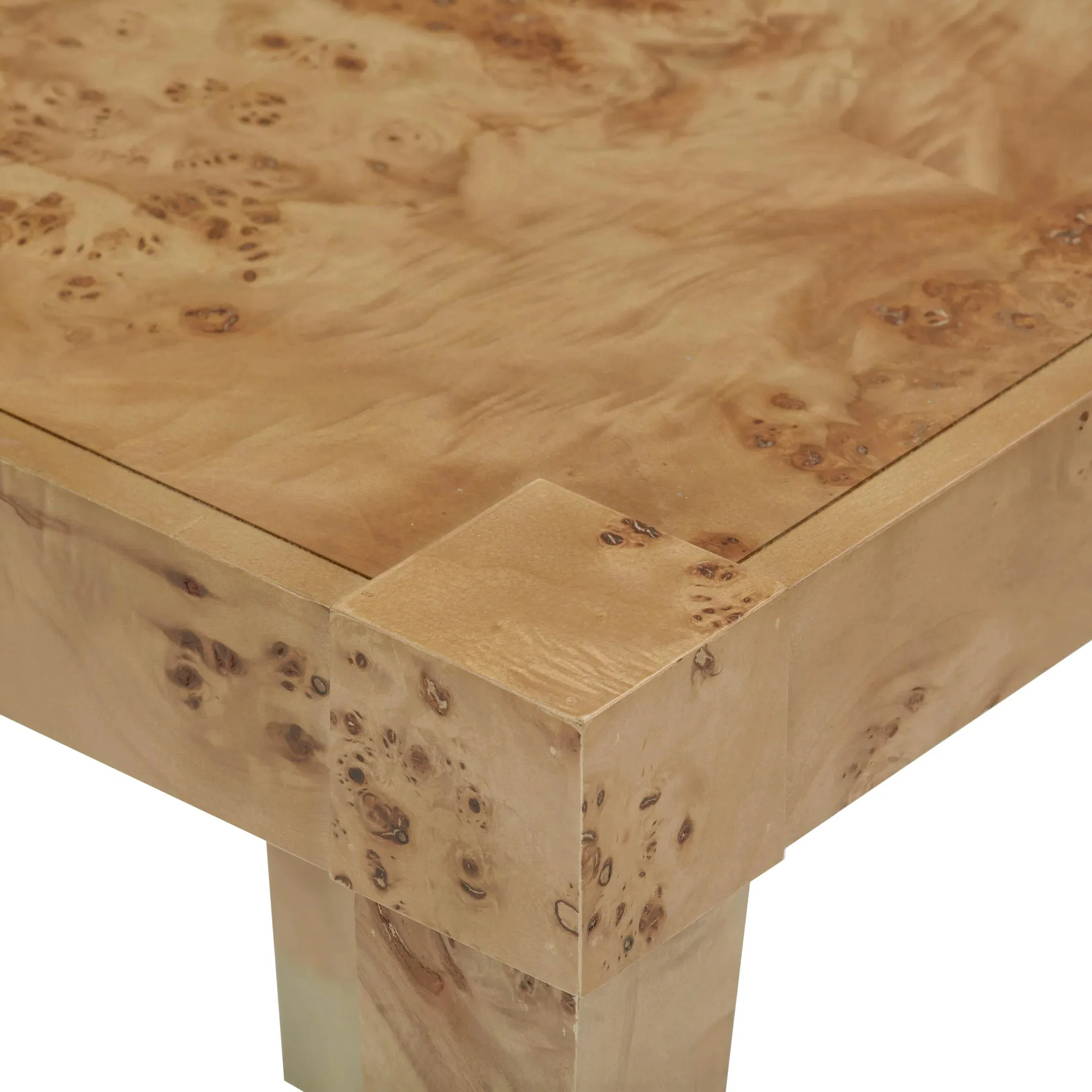 Brandyss Burl End Table - Image 14