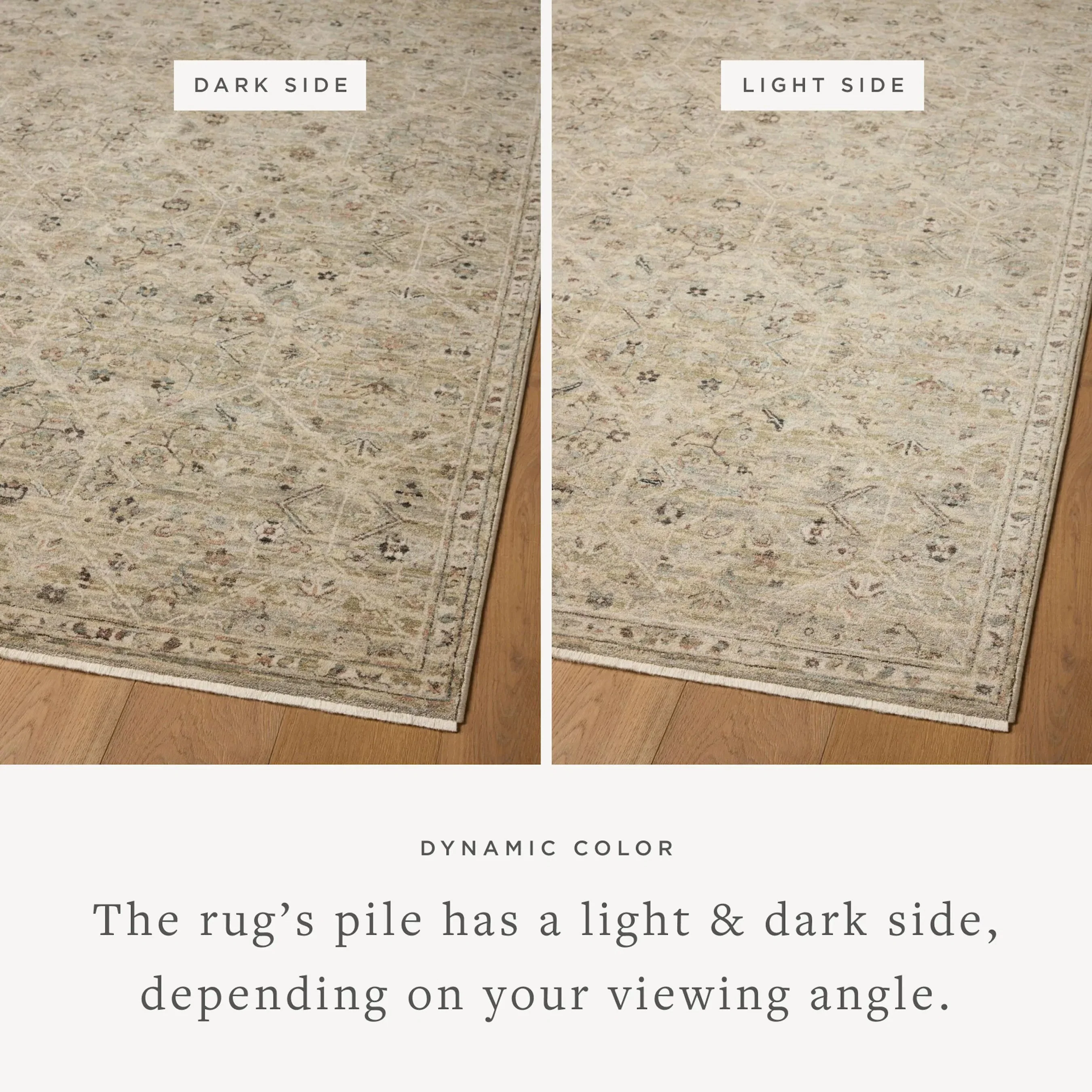 Briar BRR-03 Rug - Image 2