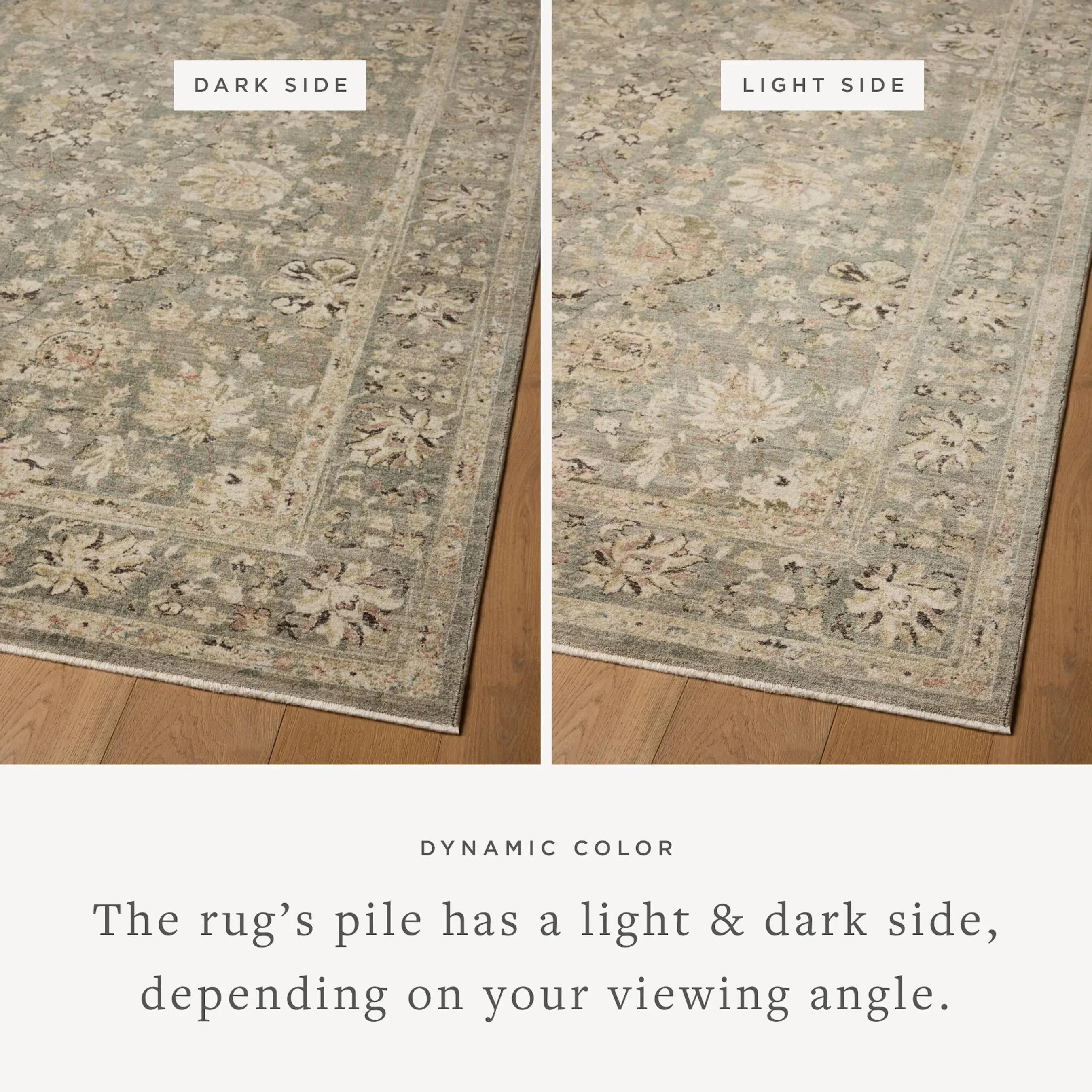 Briar BRR-05 Rug - Image 4