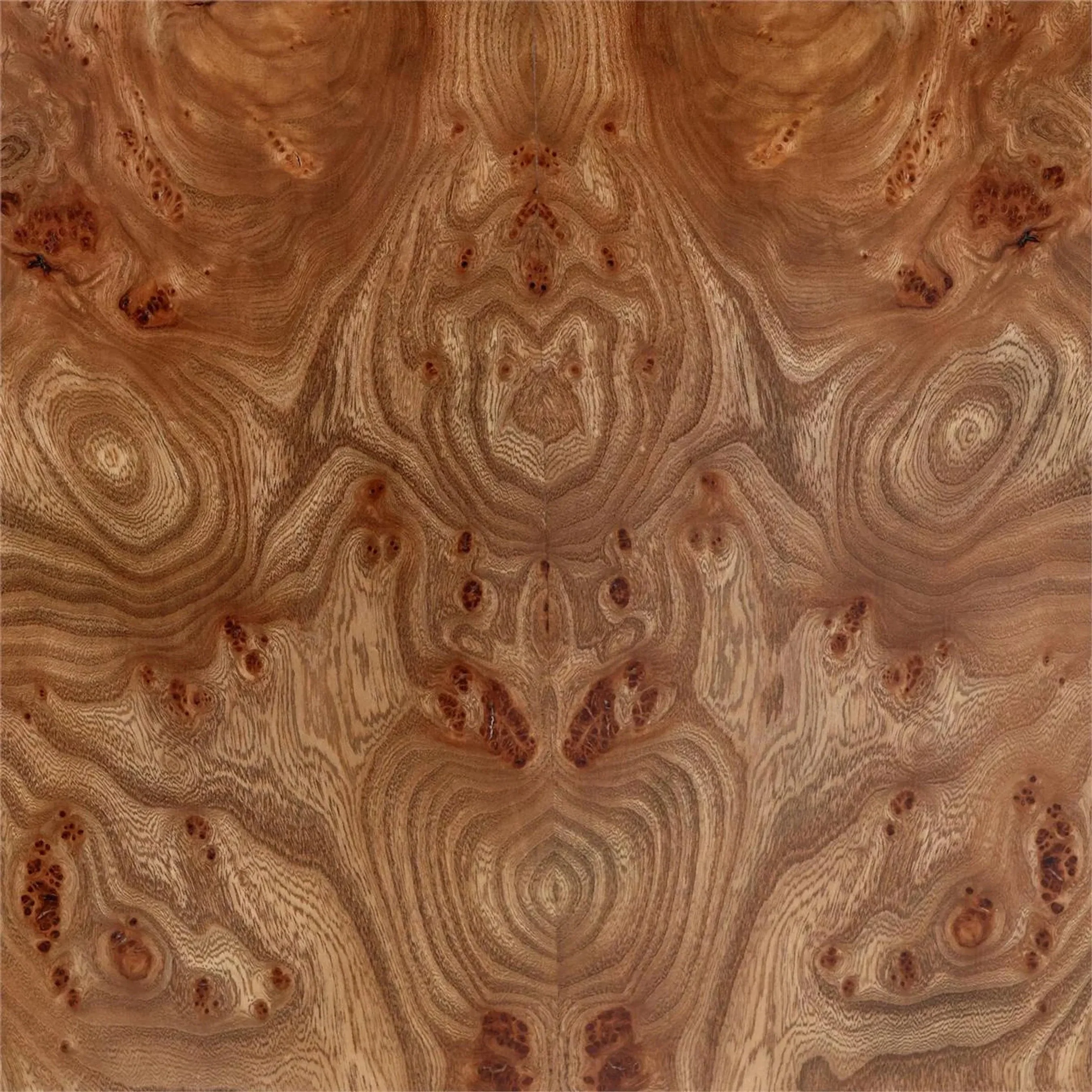 Brummell Two-Door Cabinet - Image 3