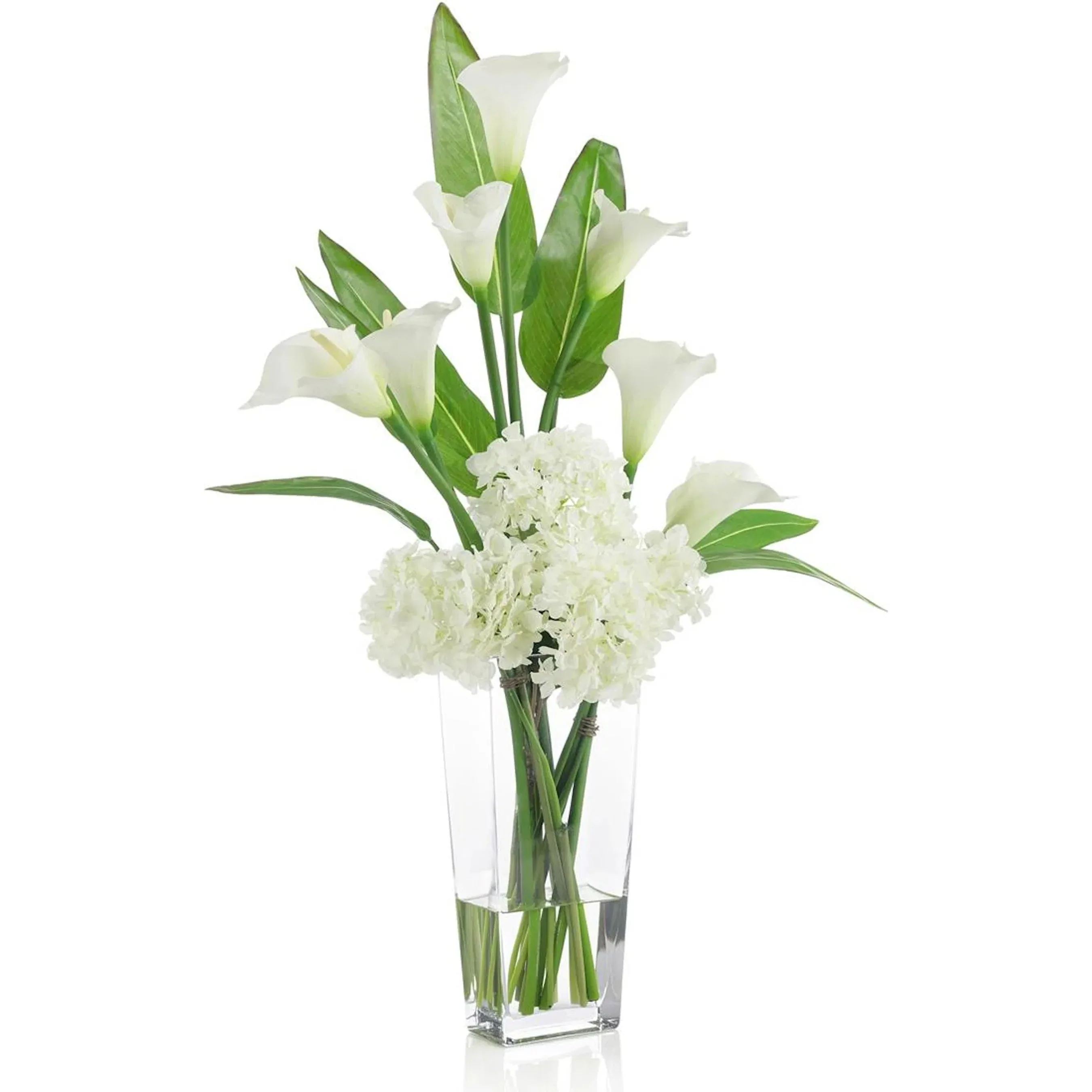 Callas and Pickerel - Image 2