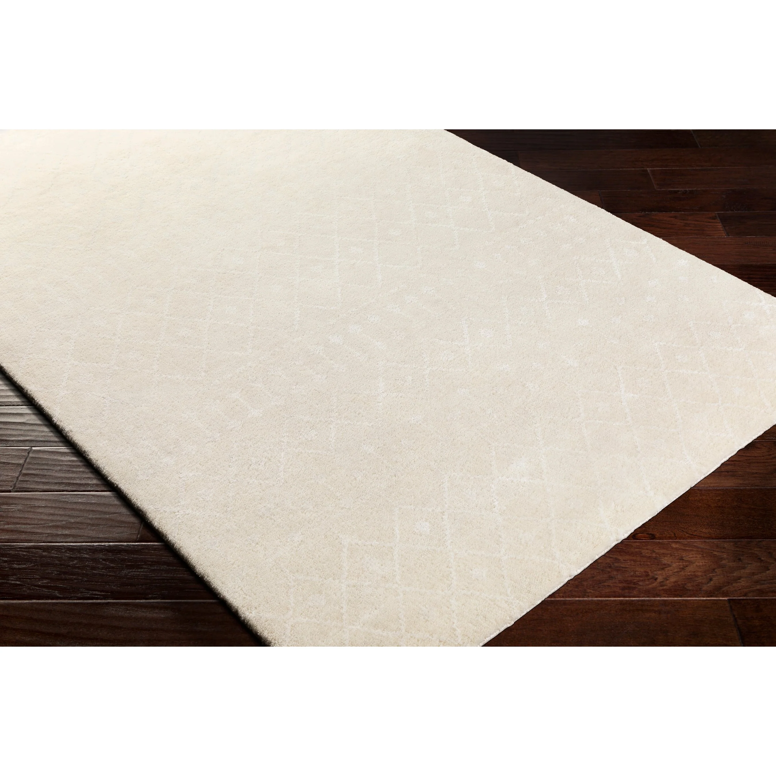Casa CAA-2300 Rug - Image 2