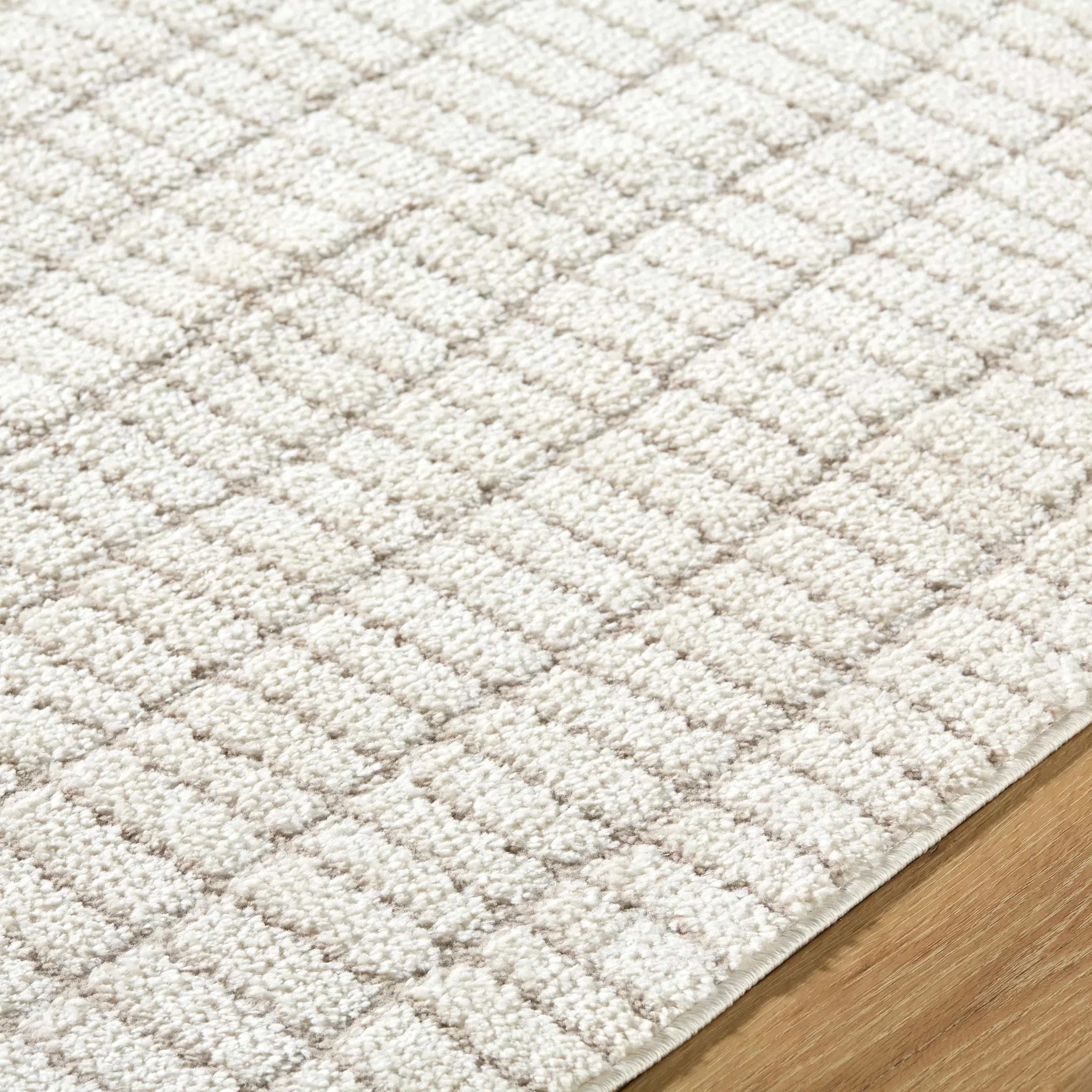 Cascade PNWCS-2306 Rug - Image 13